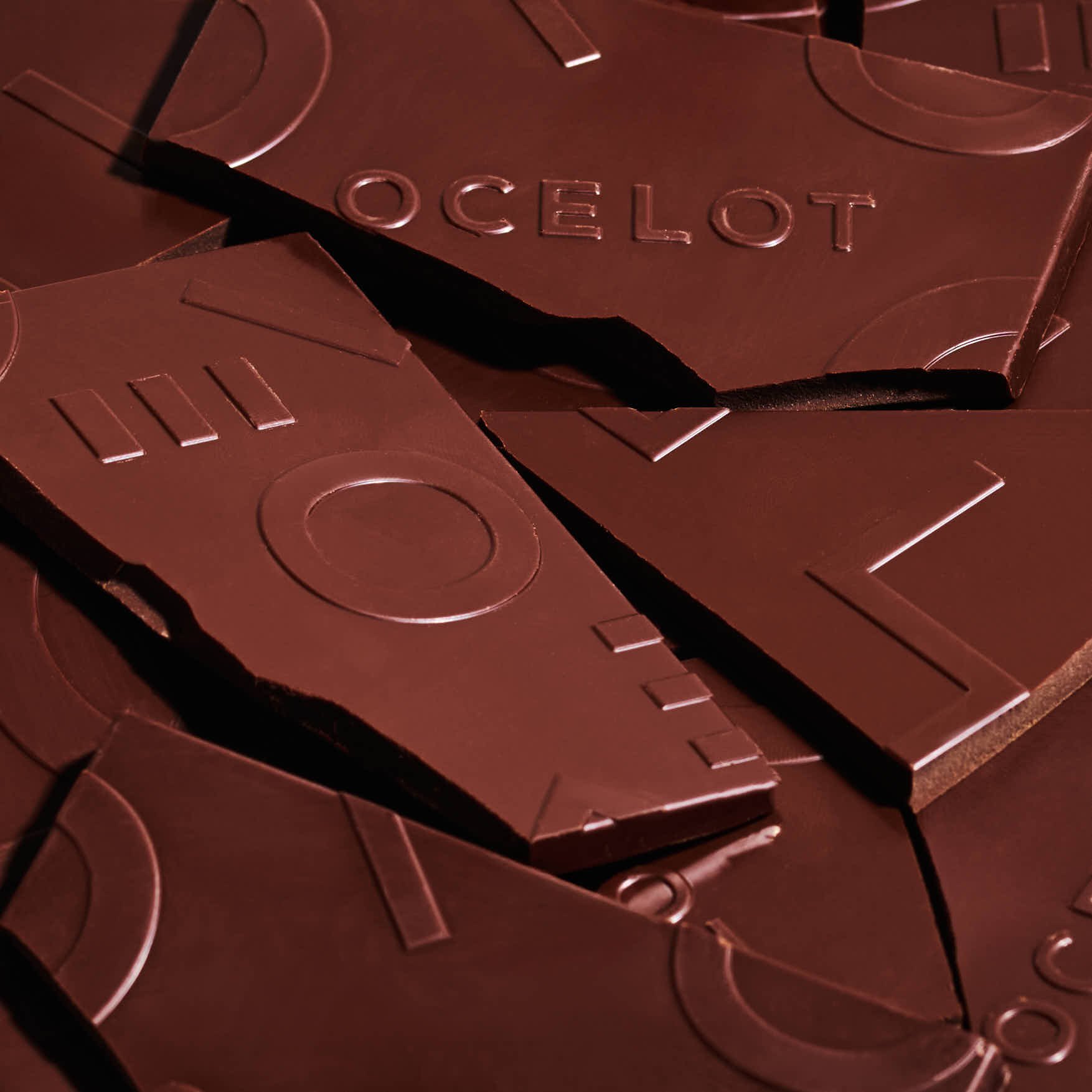 Ocelot_Chocolate_1.jpg