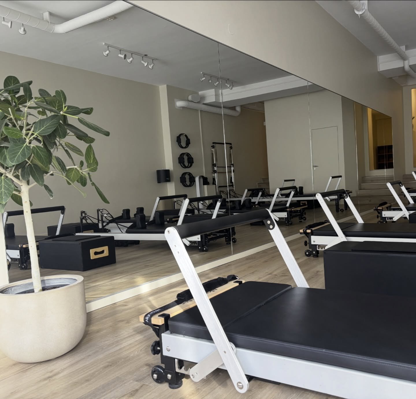 That beautiful light is back☀️✨🌱