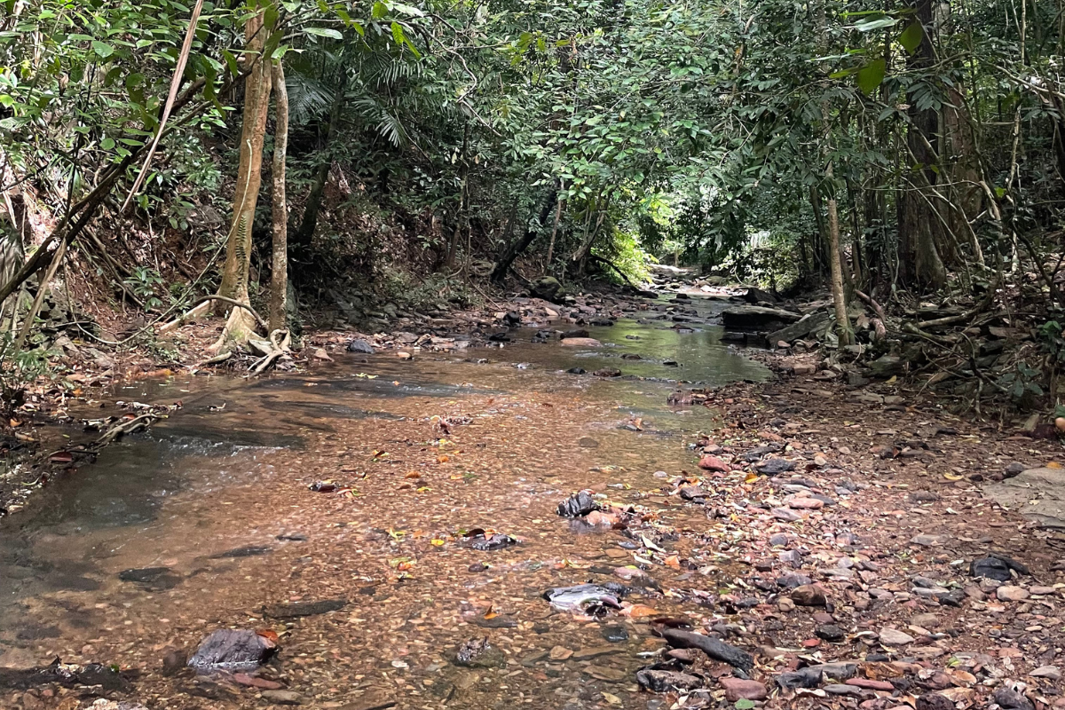 Wat te doen Koh Lanta met kinderen
