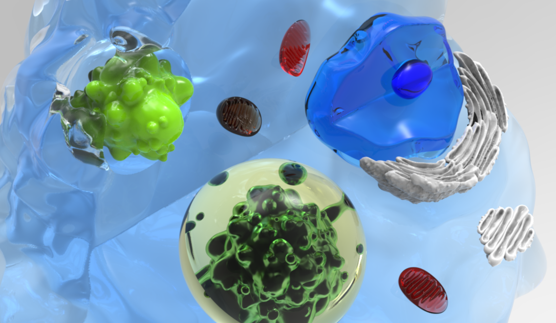 macro+color+and+mat+test+new1+.55+copy.png