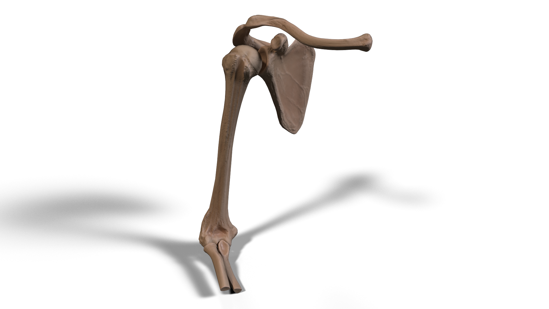 4.3.png
