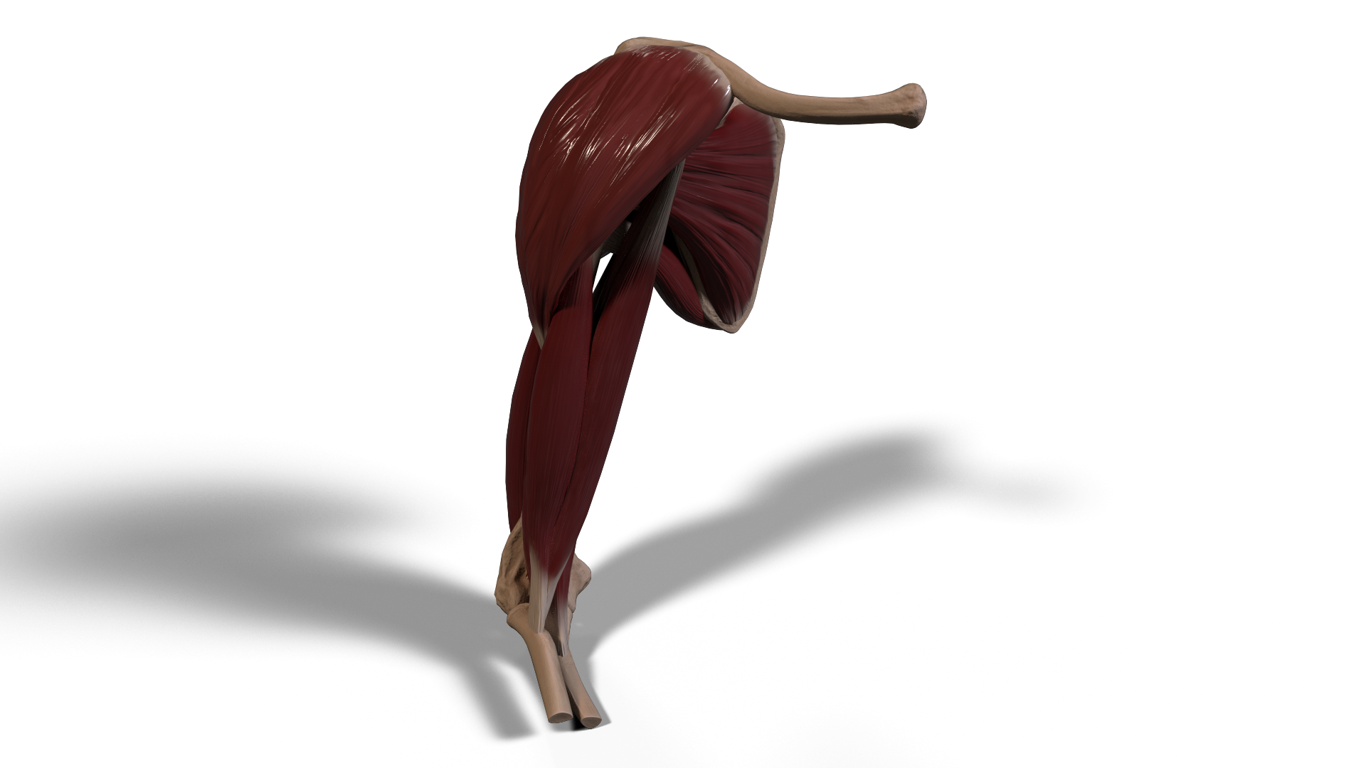 1.4.png