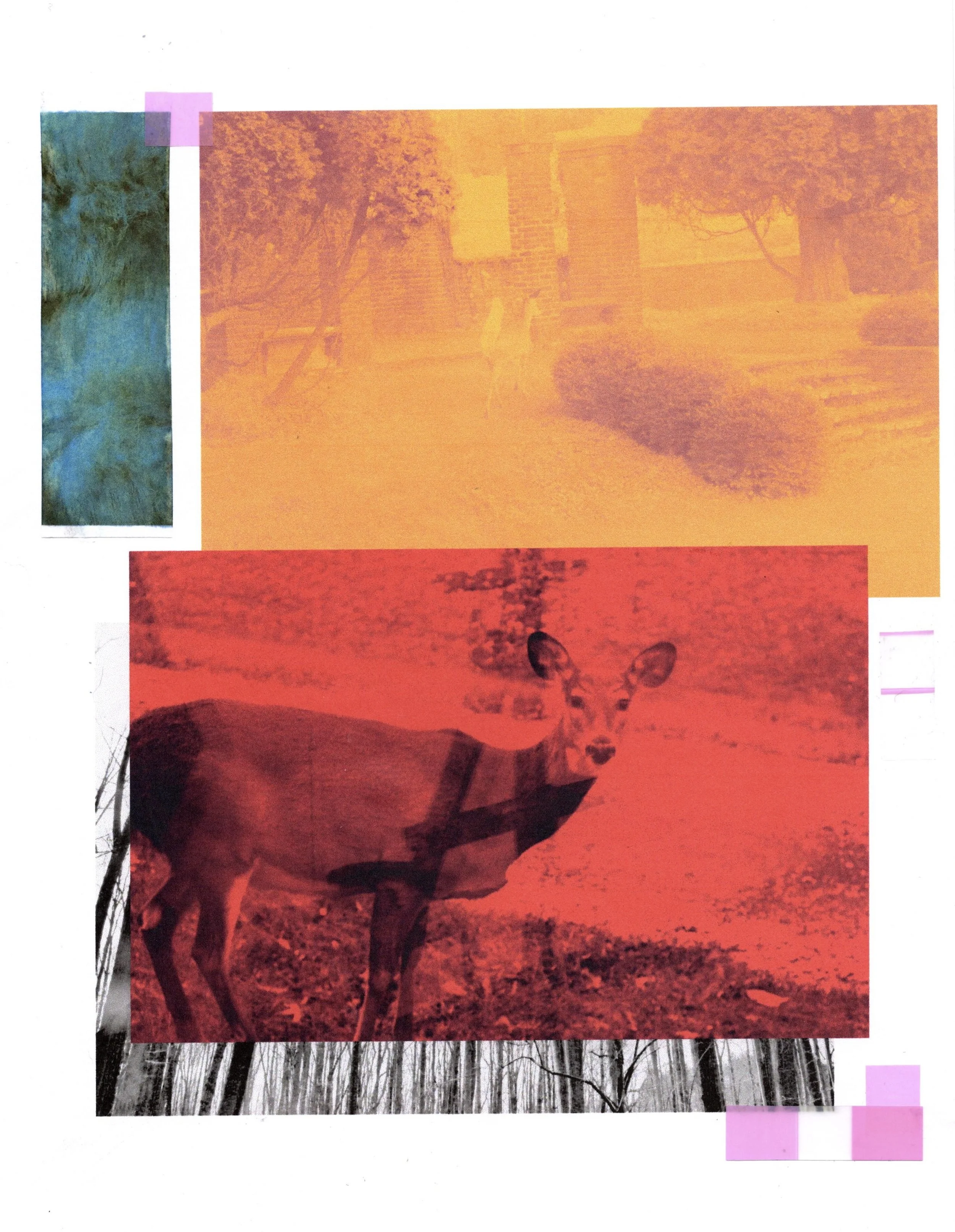 2023. Inkjet prints, plastic. 8.5 x 11.