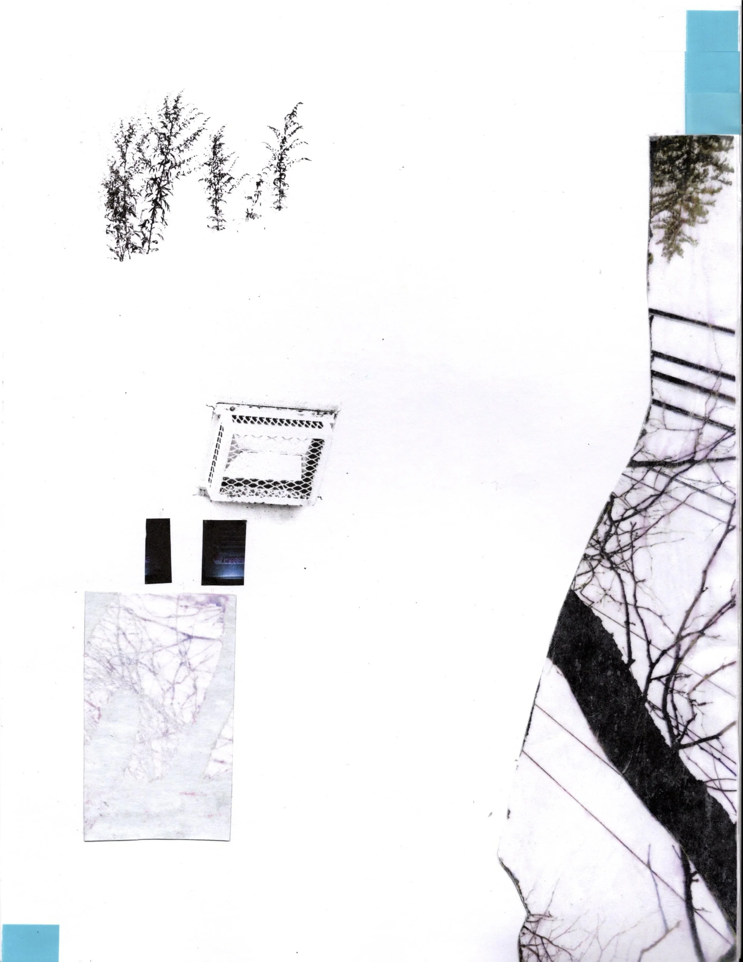 2023. Inkjet prints, wax paper, plastic. 8.5 x 11. Private collection.