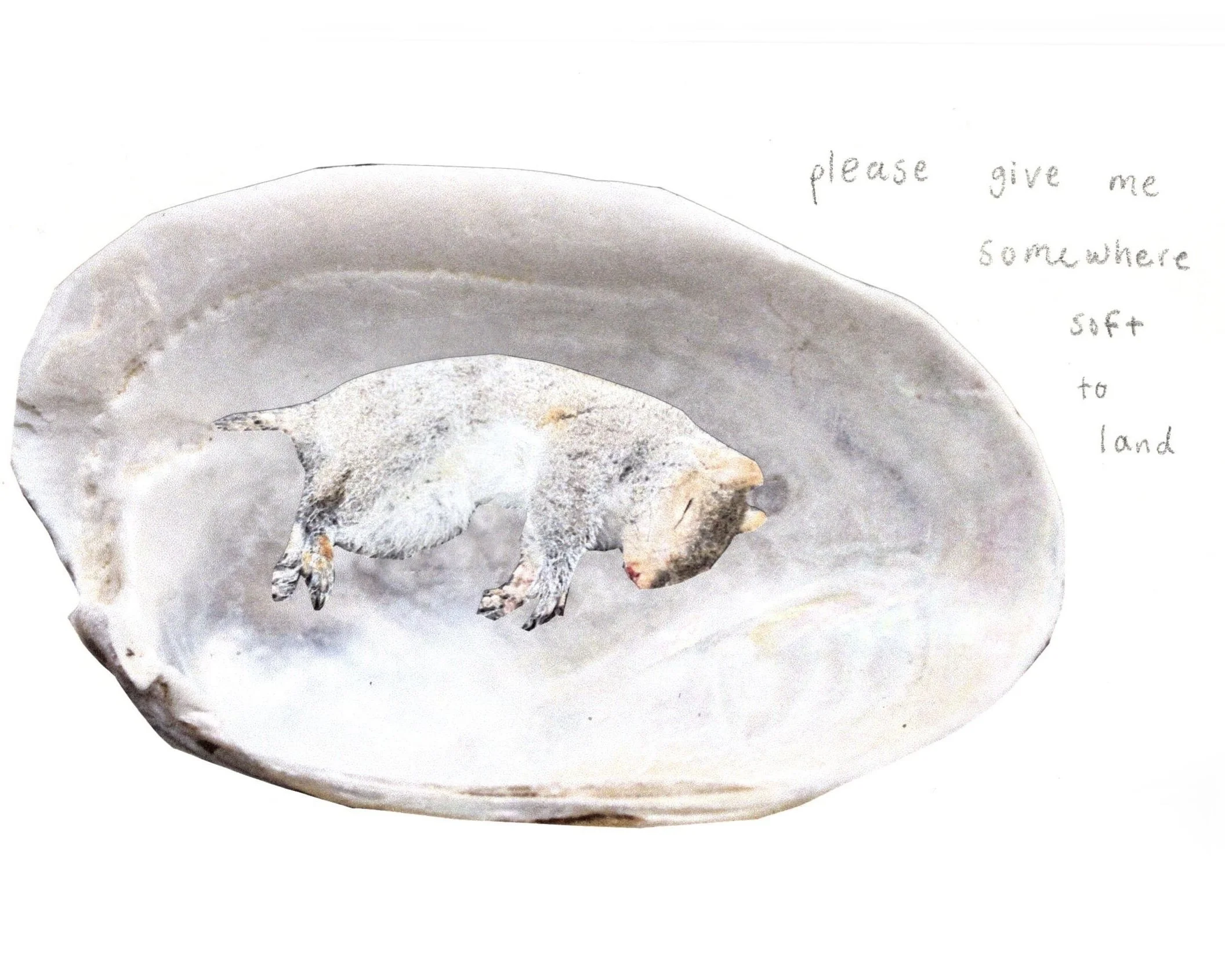 Inkjet prints and graphite. 