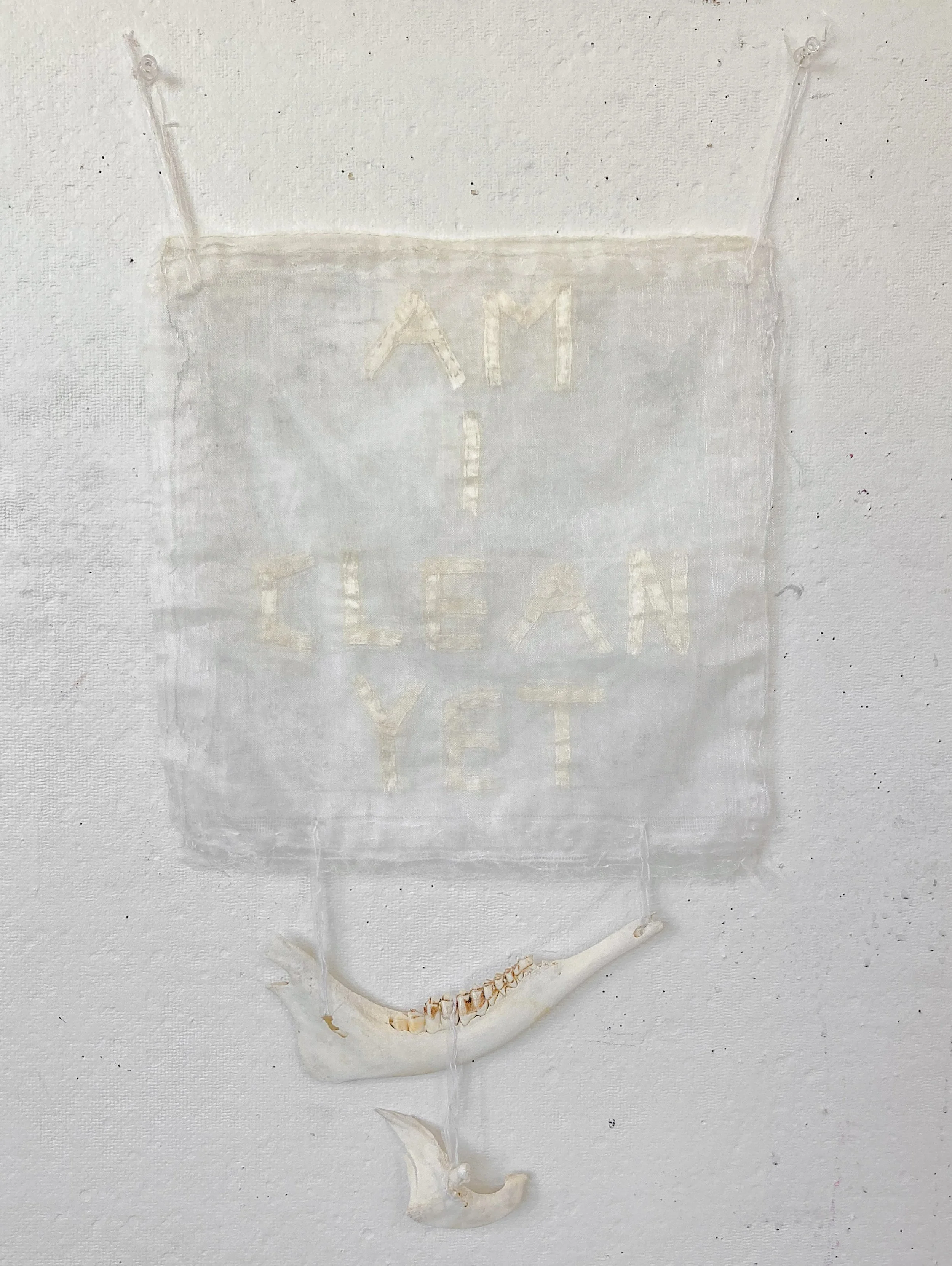 2021. "Am I Clean Yet?" 12 x 24 inches. Recycled fabric, my grandmother's handkerchief, and found bones.