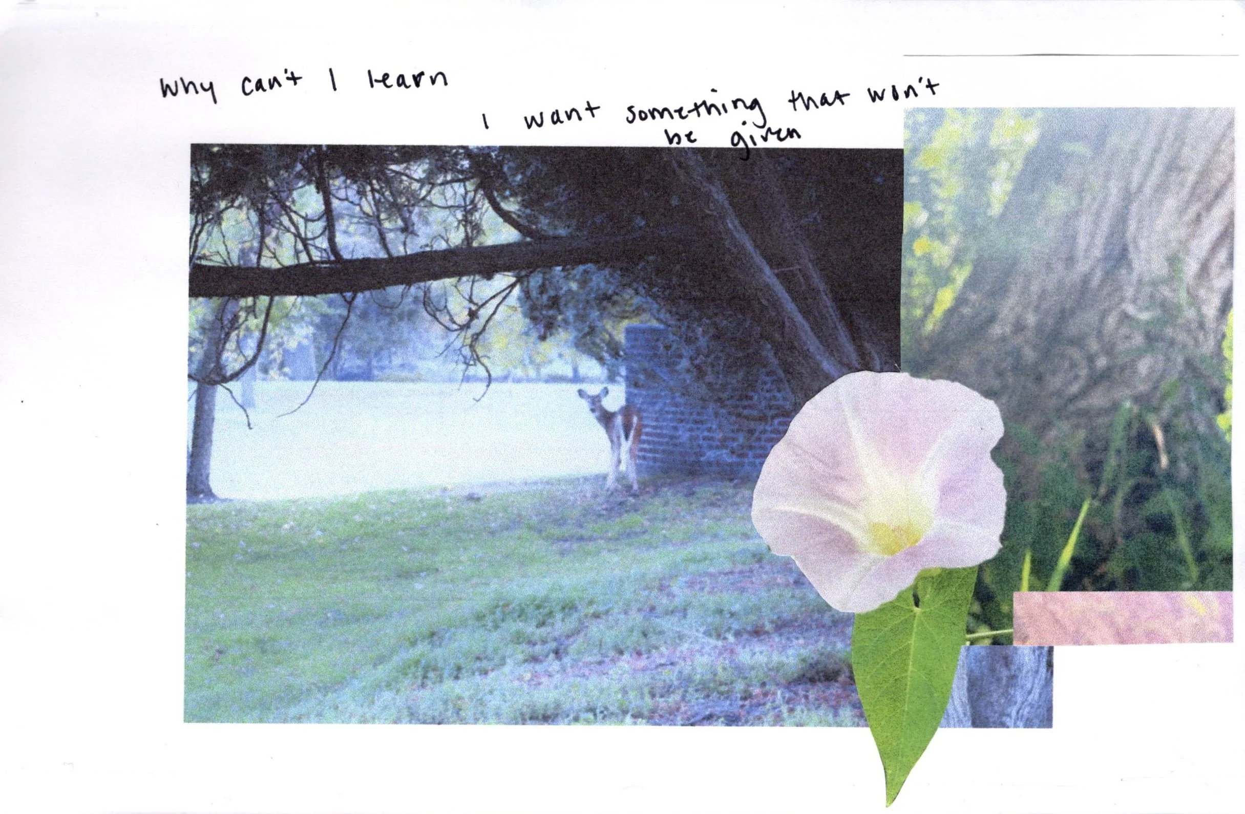 2024. Inkjet prints, pen. 5.5 x 8.