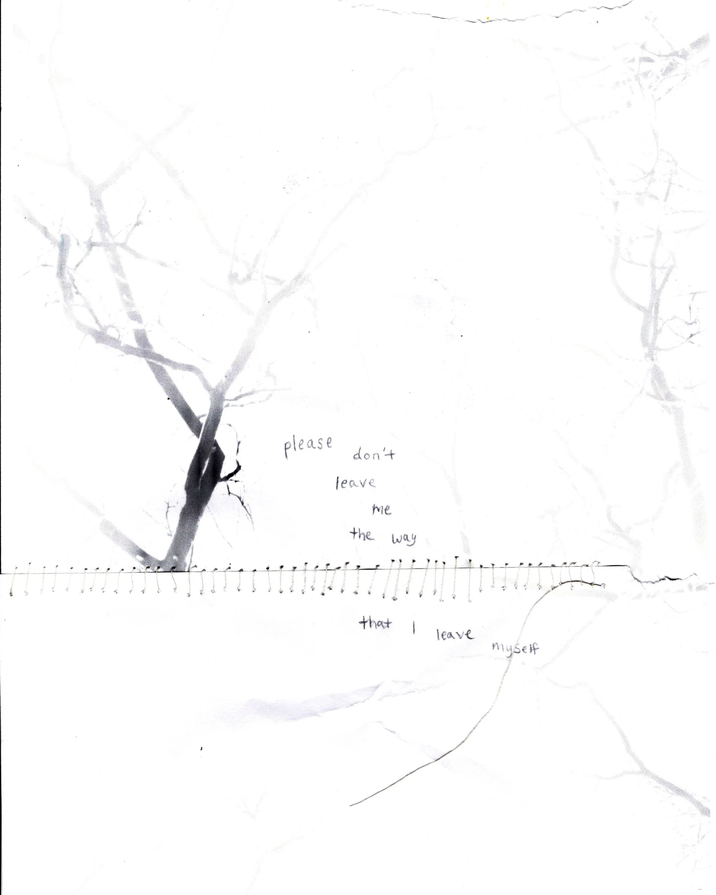 Inkjet print, thread, graphite.