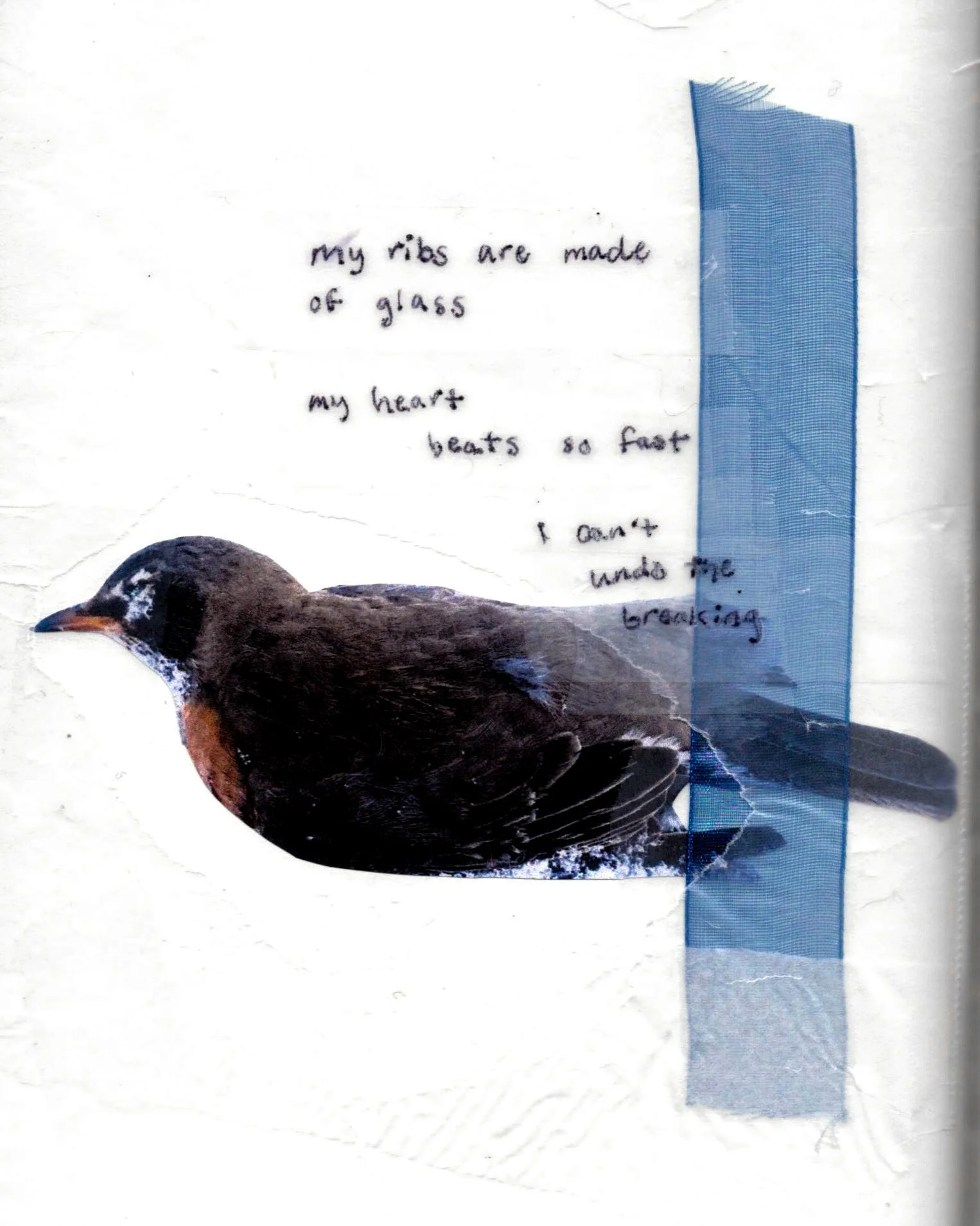 Inkjet print, pen, wax paper, tissue paper, ribbon.