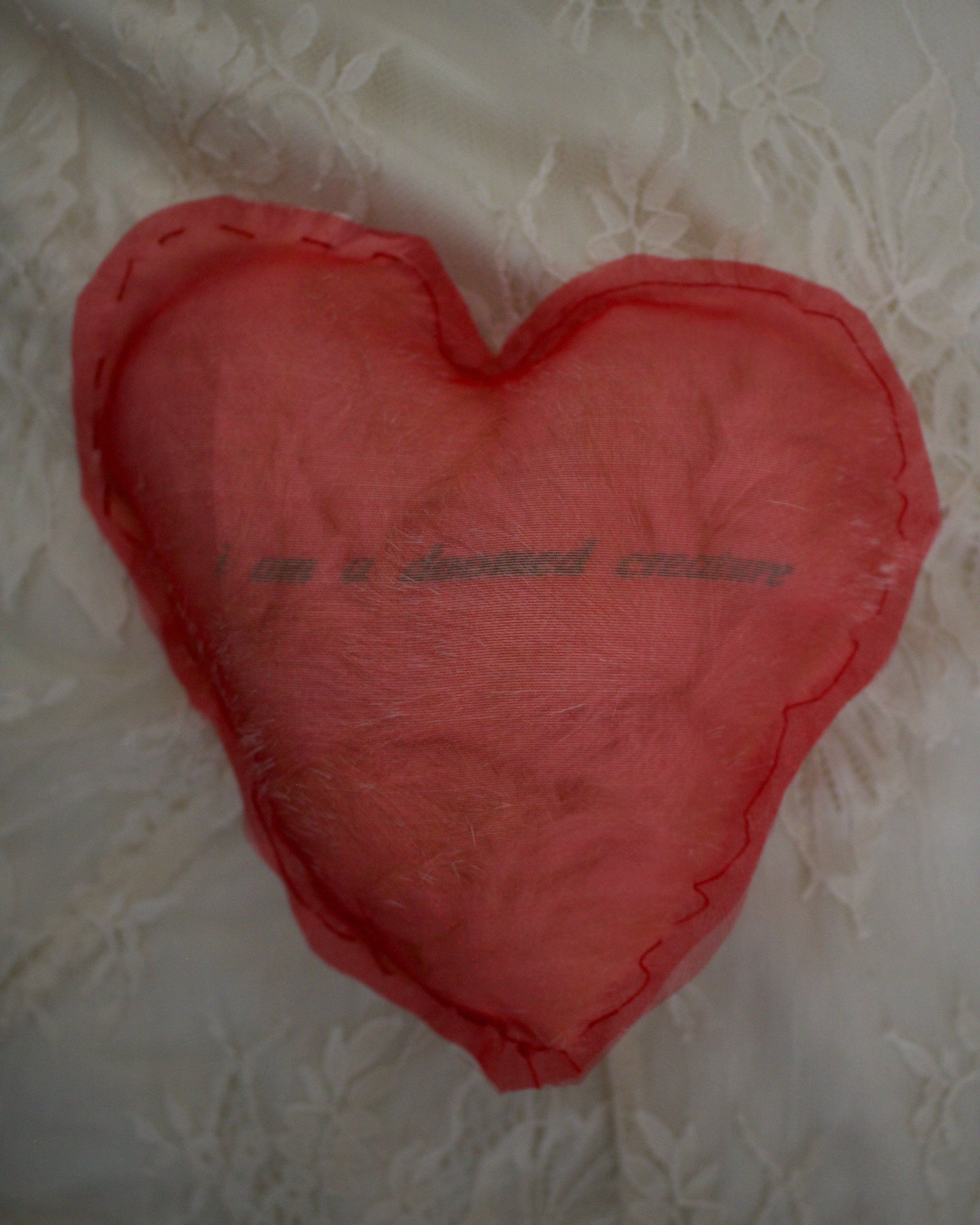 2025. "i am a doomed creature." Rabbit fur, inkjet printed organza, thread and filling filling. Approx. 6.5 x 6.5 inches, 4 inches tall. 