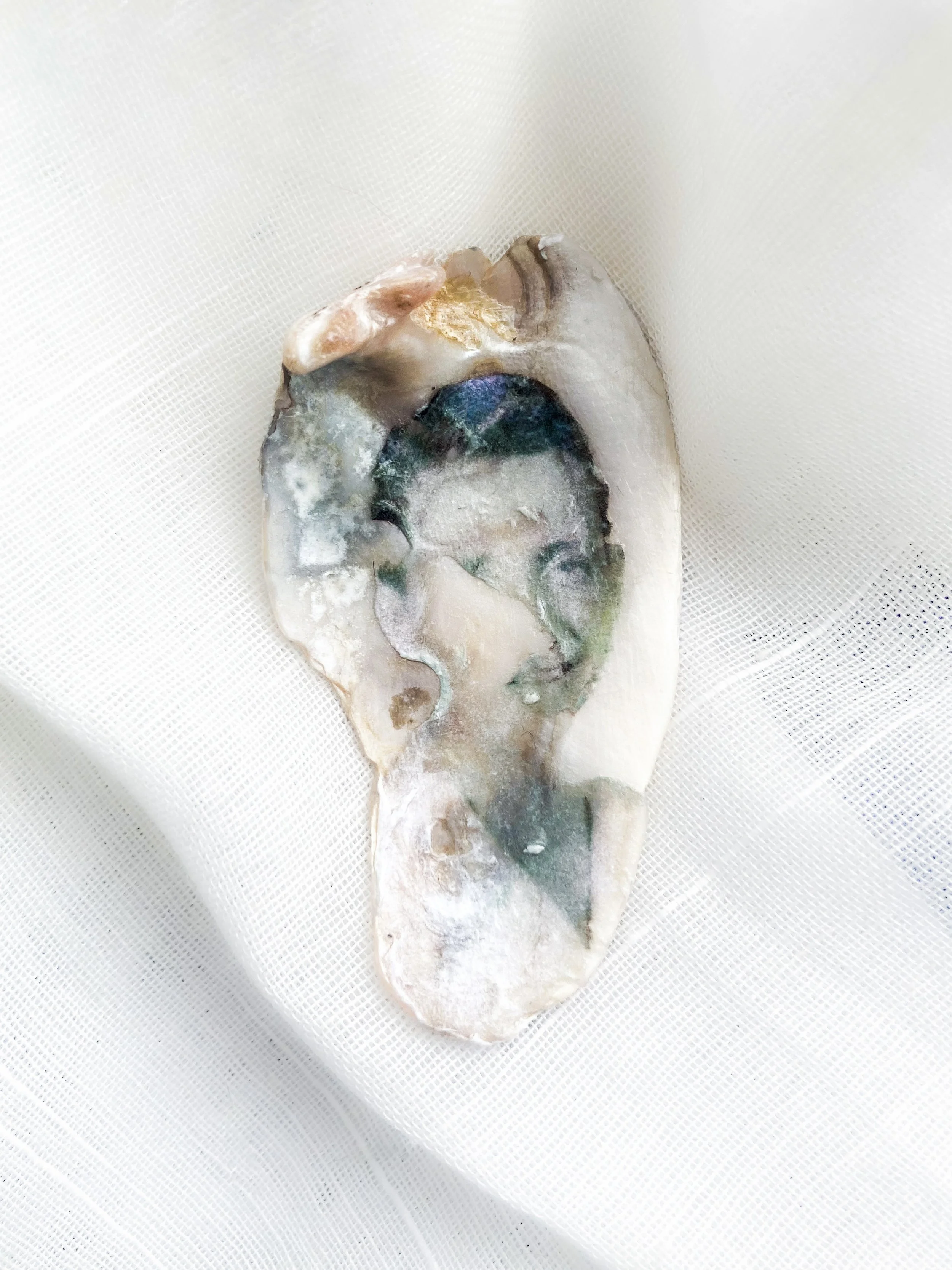 Inkjet photo transfer onto shell.