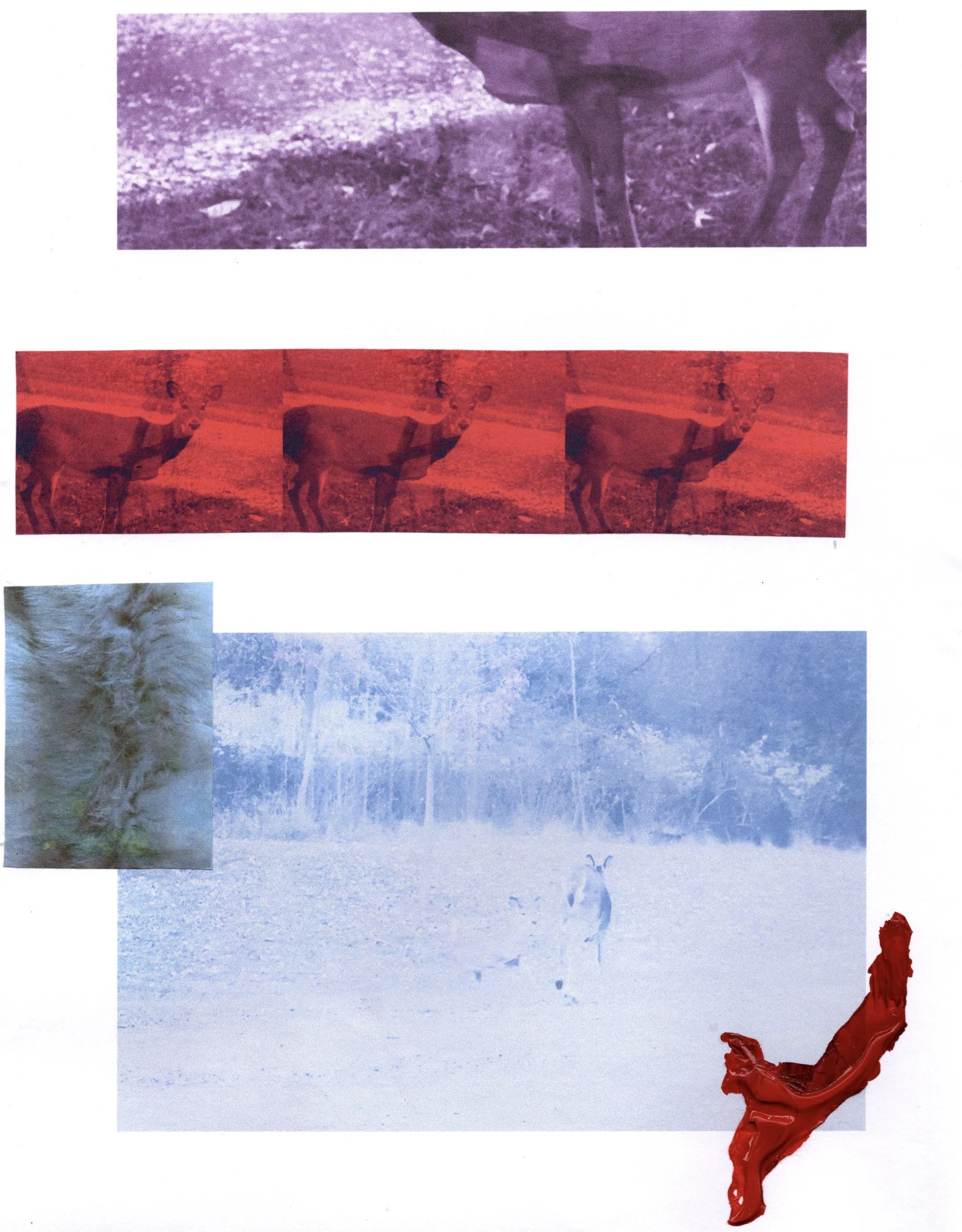 2023. Inkjet prints, acrylic. 8.5 x 11.