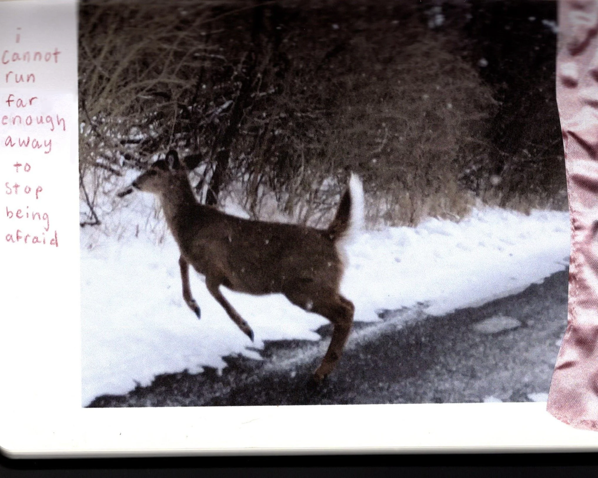 Inkjet prints and colored pencil. 