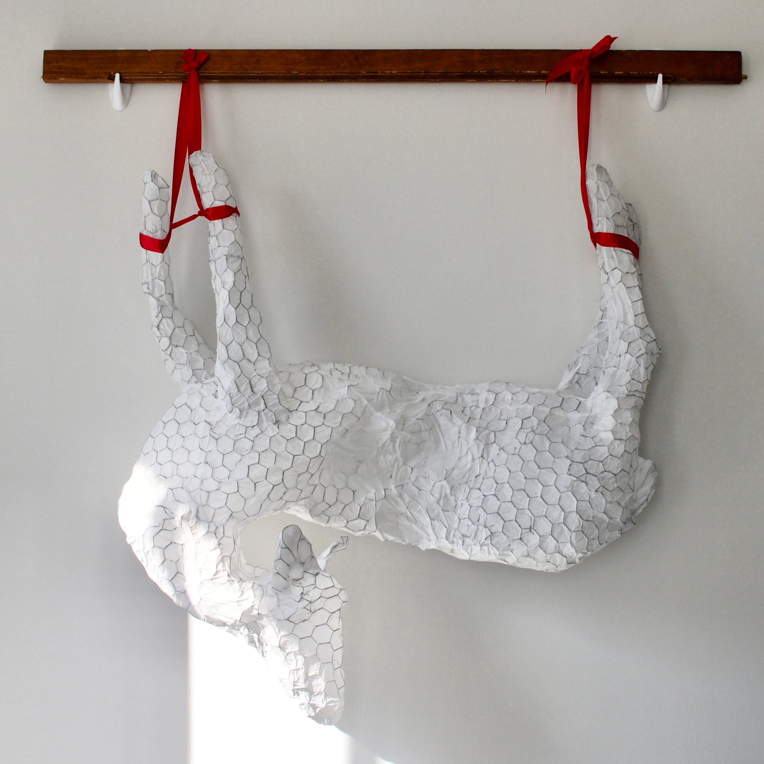 "Roadkill Trophy," 2024. Tissue paper, chicken wire, PVA, gesso, found wood, ribbon. Approx. 44 x 44 inches.
