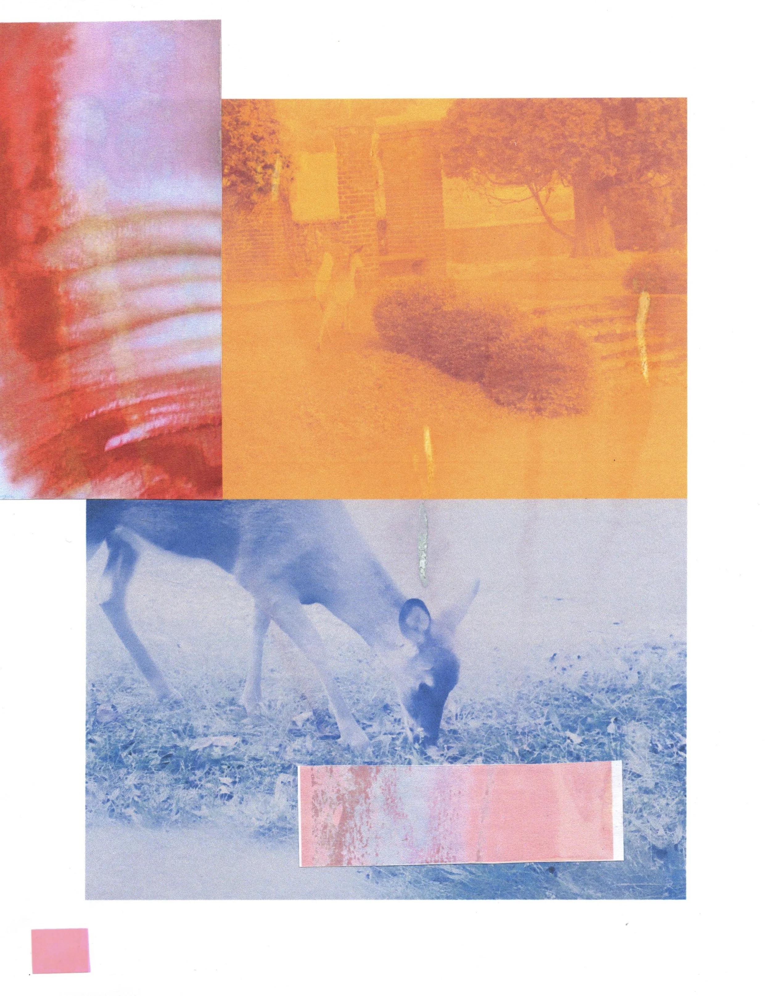 2023. Inkjet prints, plastic. 8.5 x 11.