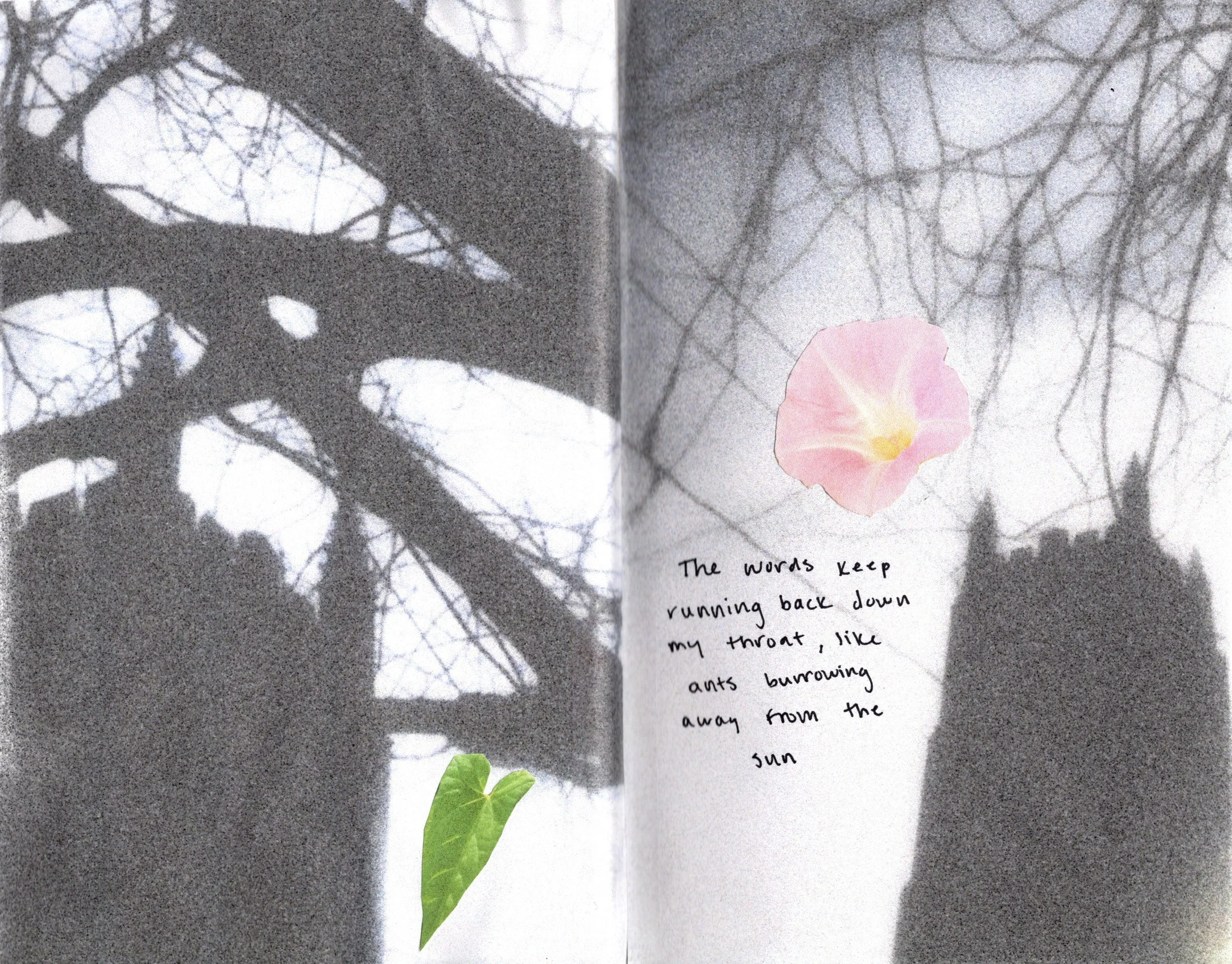 2024. Inkjet prints, pen. 11 x 8.