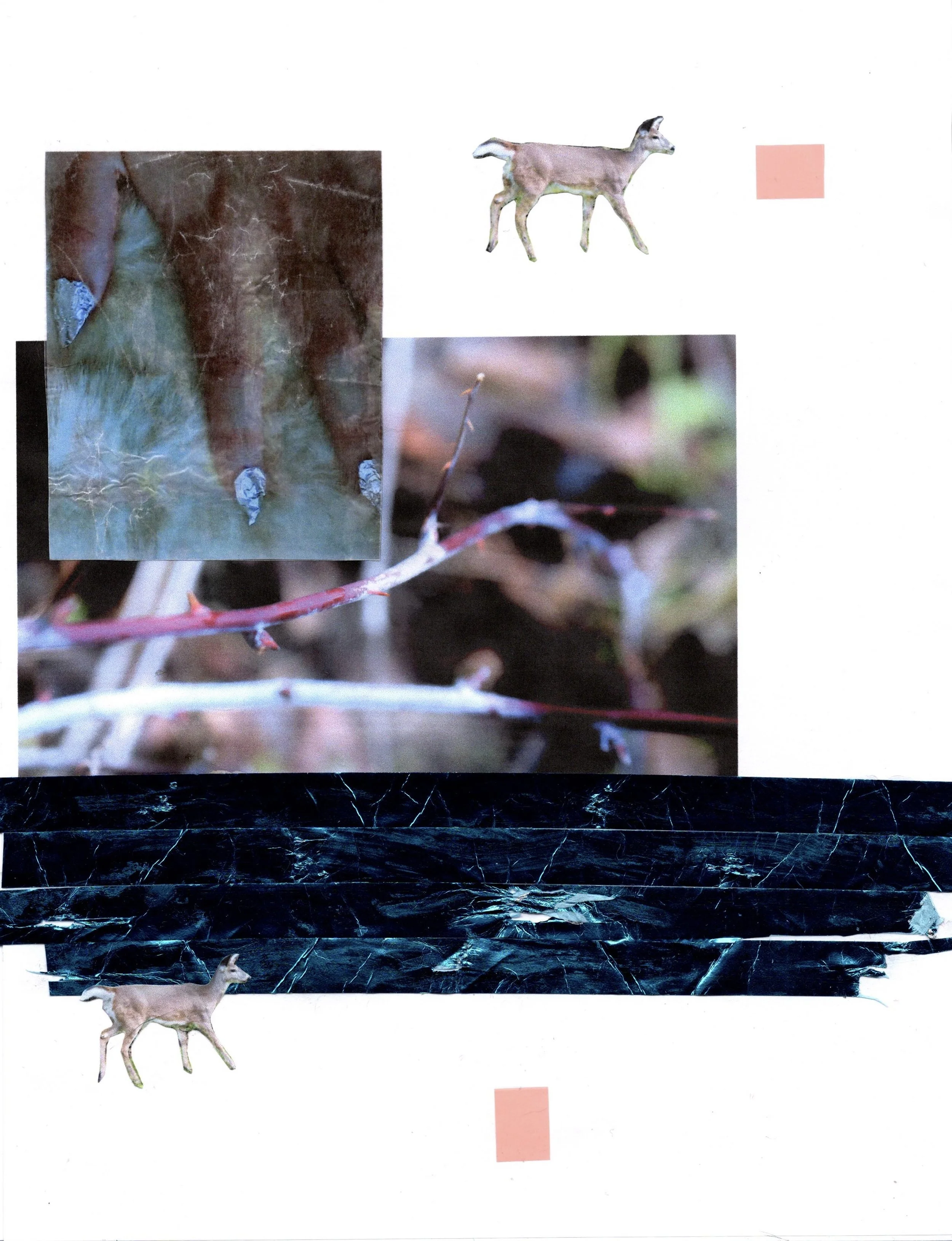 2023. Inkjet prints, wax paper, ribbon, plastic. 8.5 x 11. Private collection.