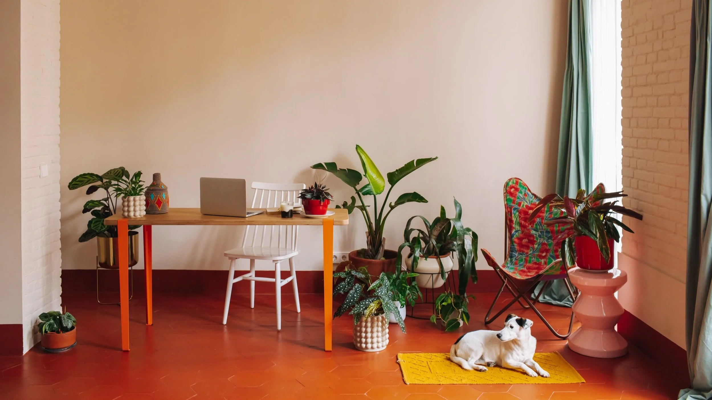 Bureau à domicile coloré avec chien