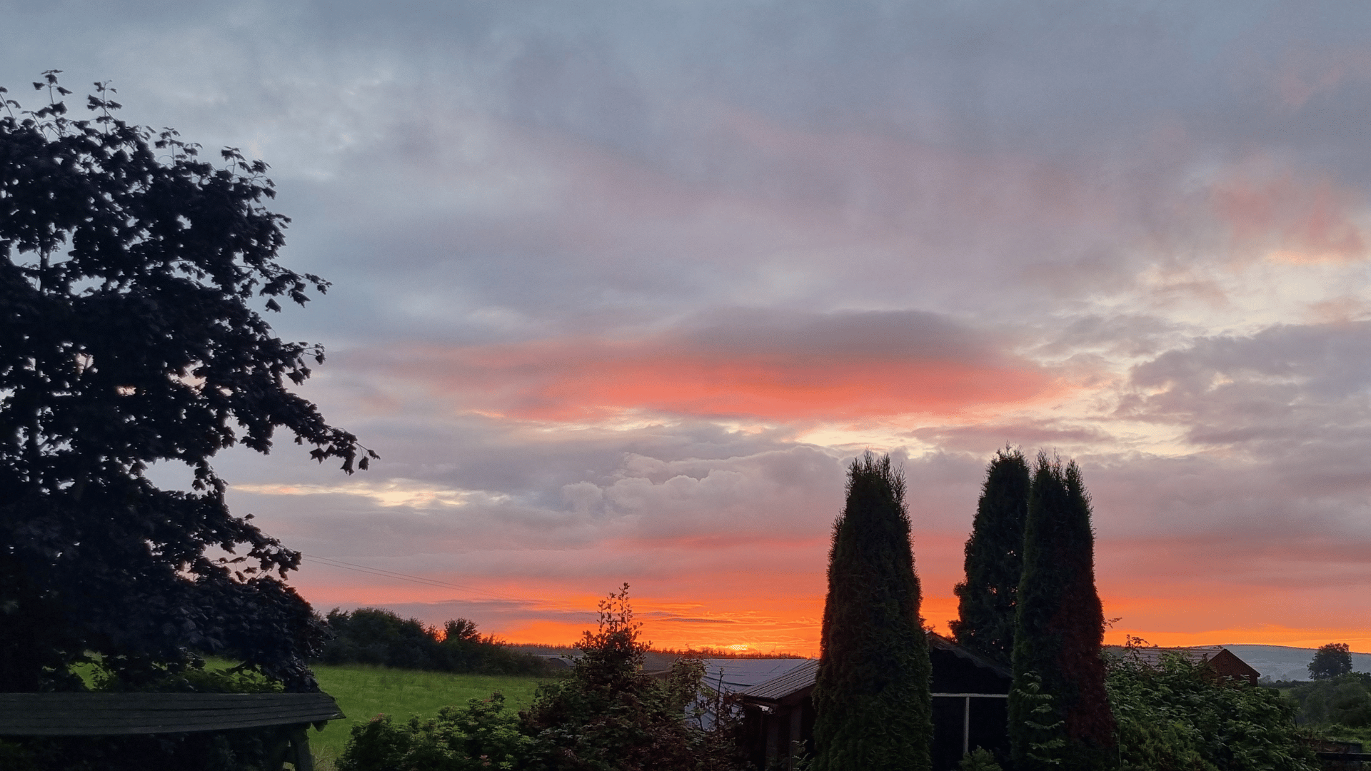 Every story has a beginning.