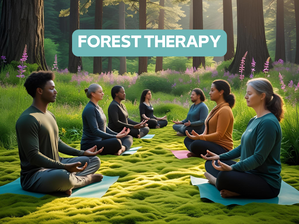 FOREST THERAPY 