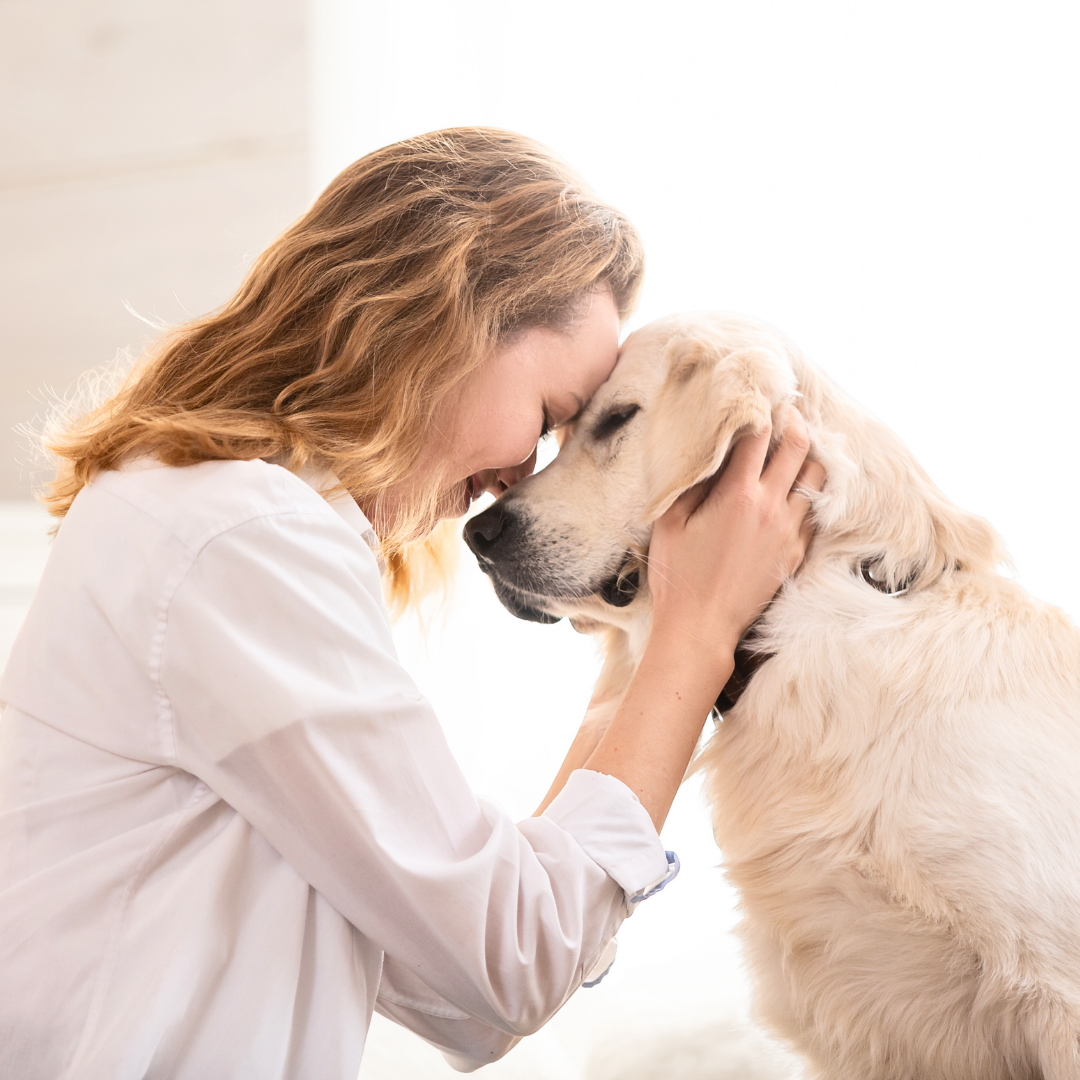 Mindfulness & Pet Therapy