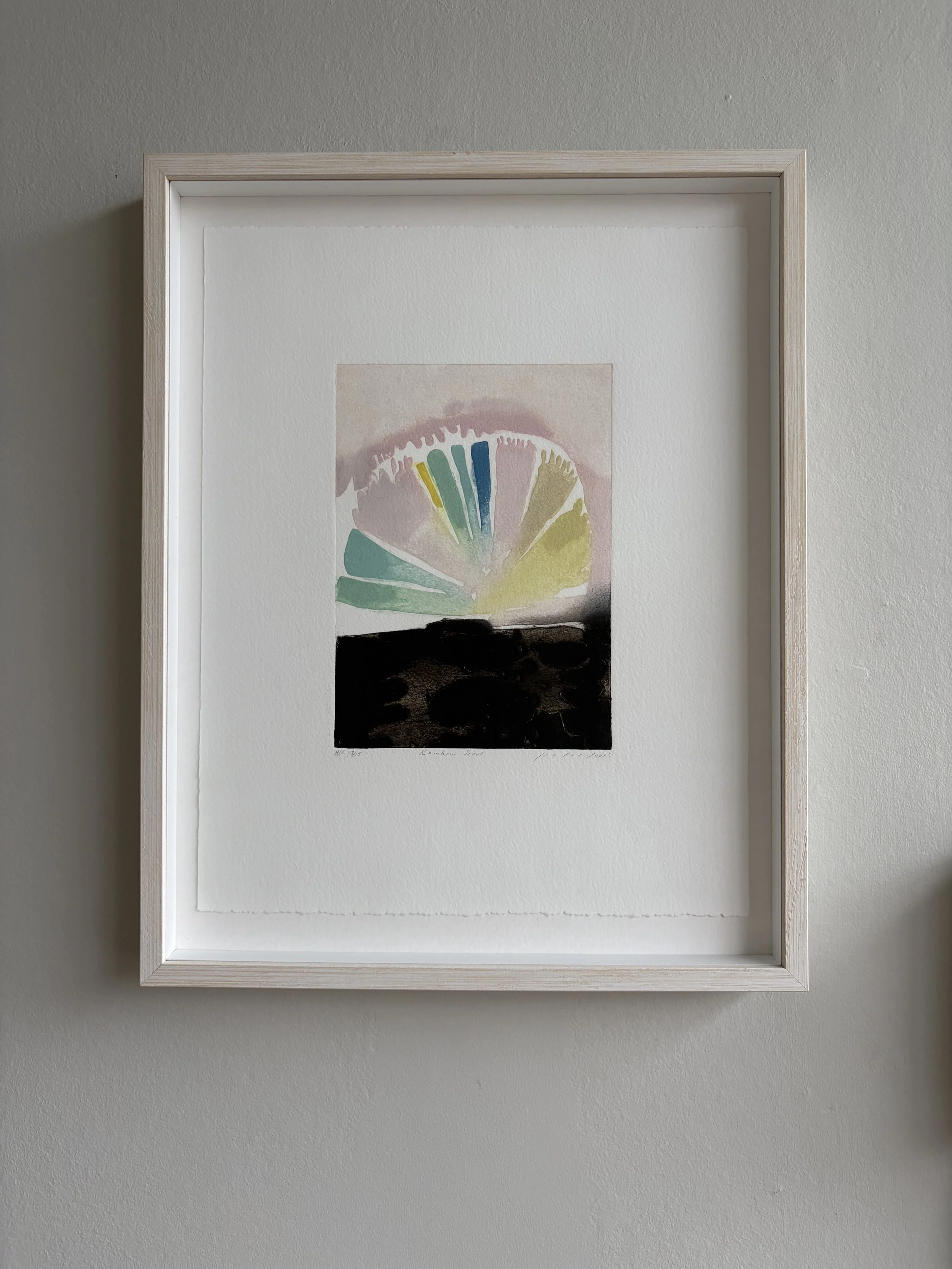 K JONES Rainbow Seed.jpg