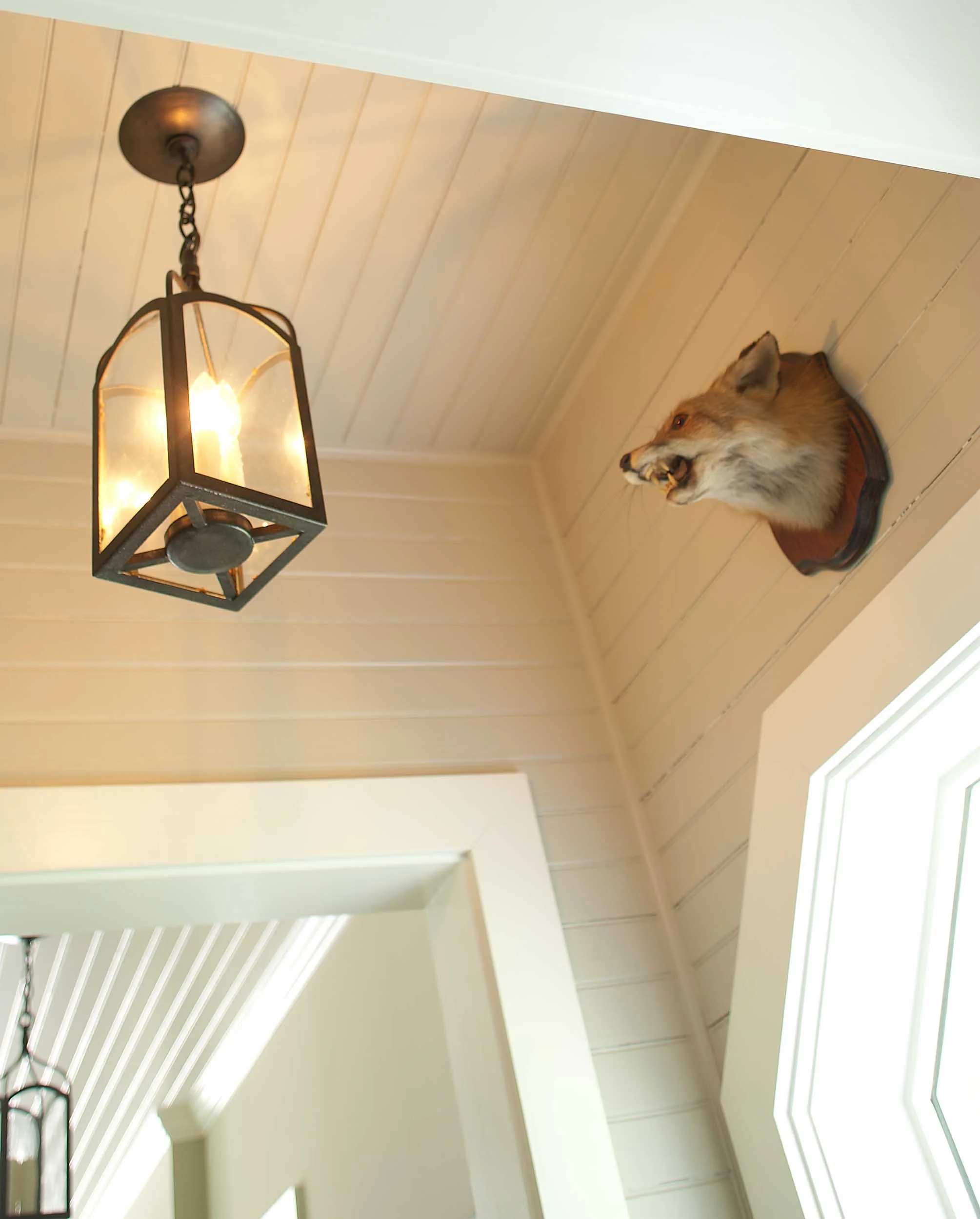 entryway-with-pendant-lighting-and-stuffed-fox-head.jpg