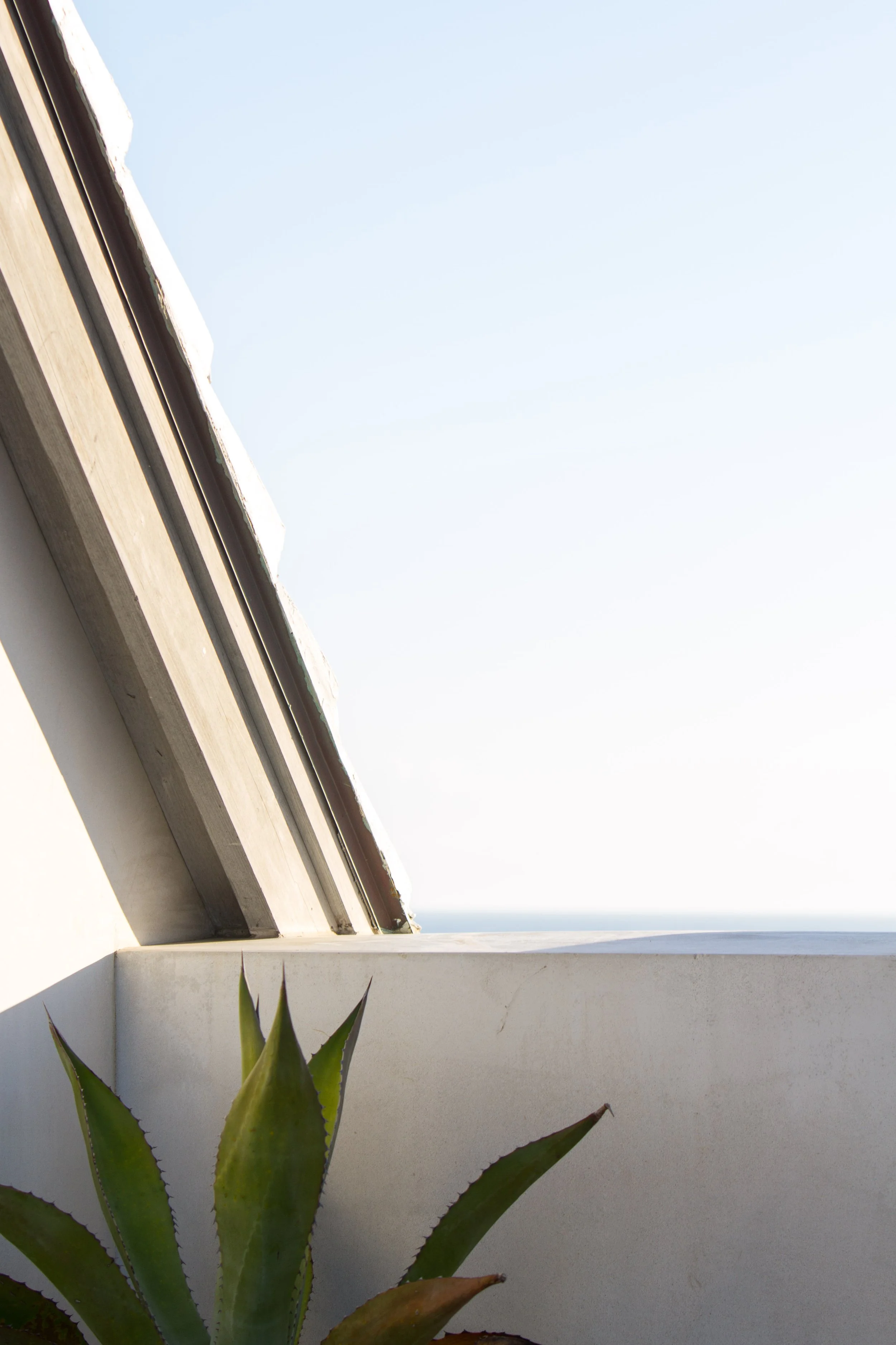 Ebert (1 of 1)-10.jpg