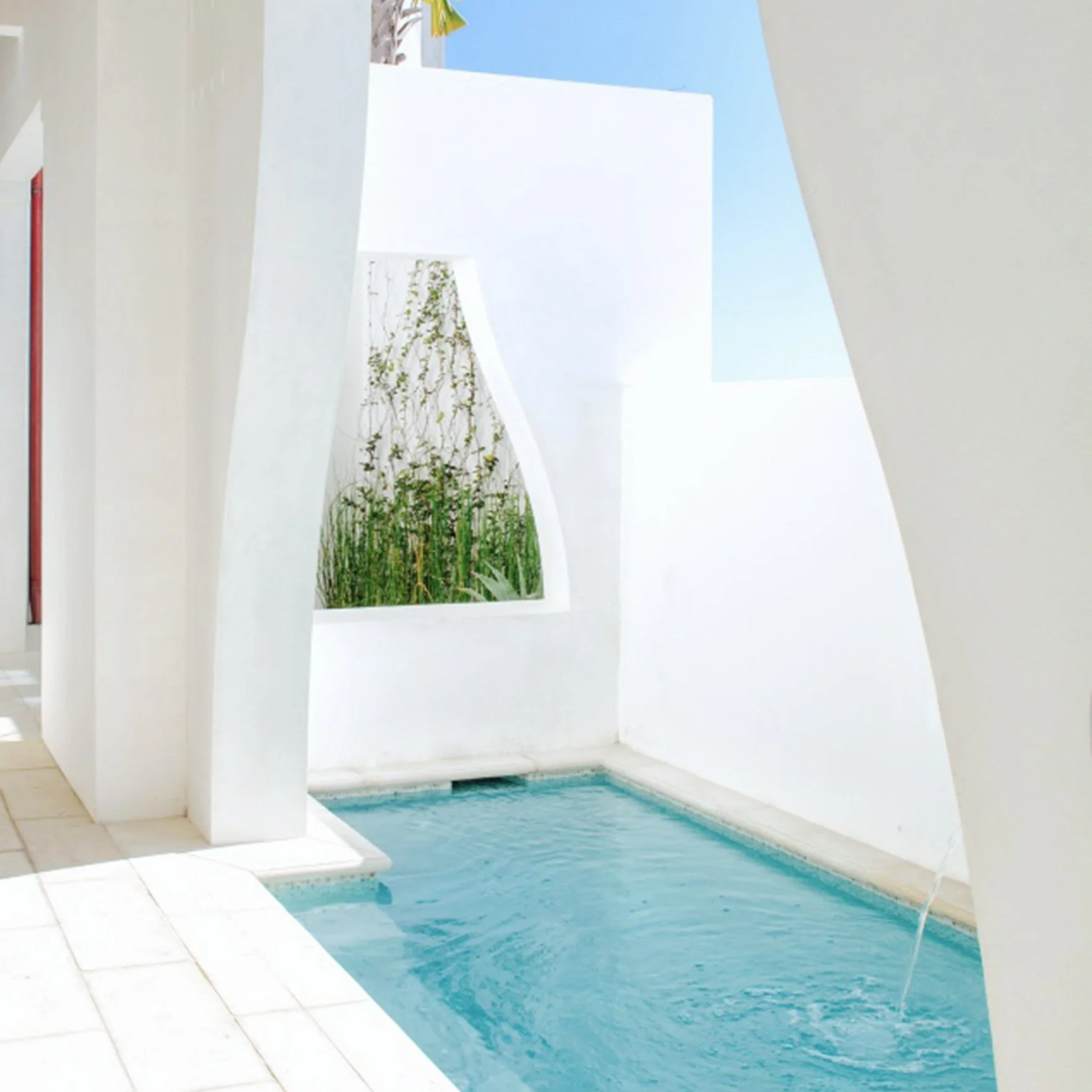 Ebert (1 of 2)1x1.jpg