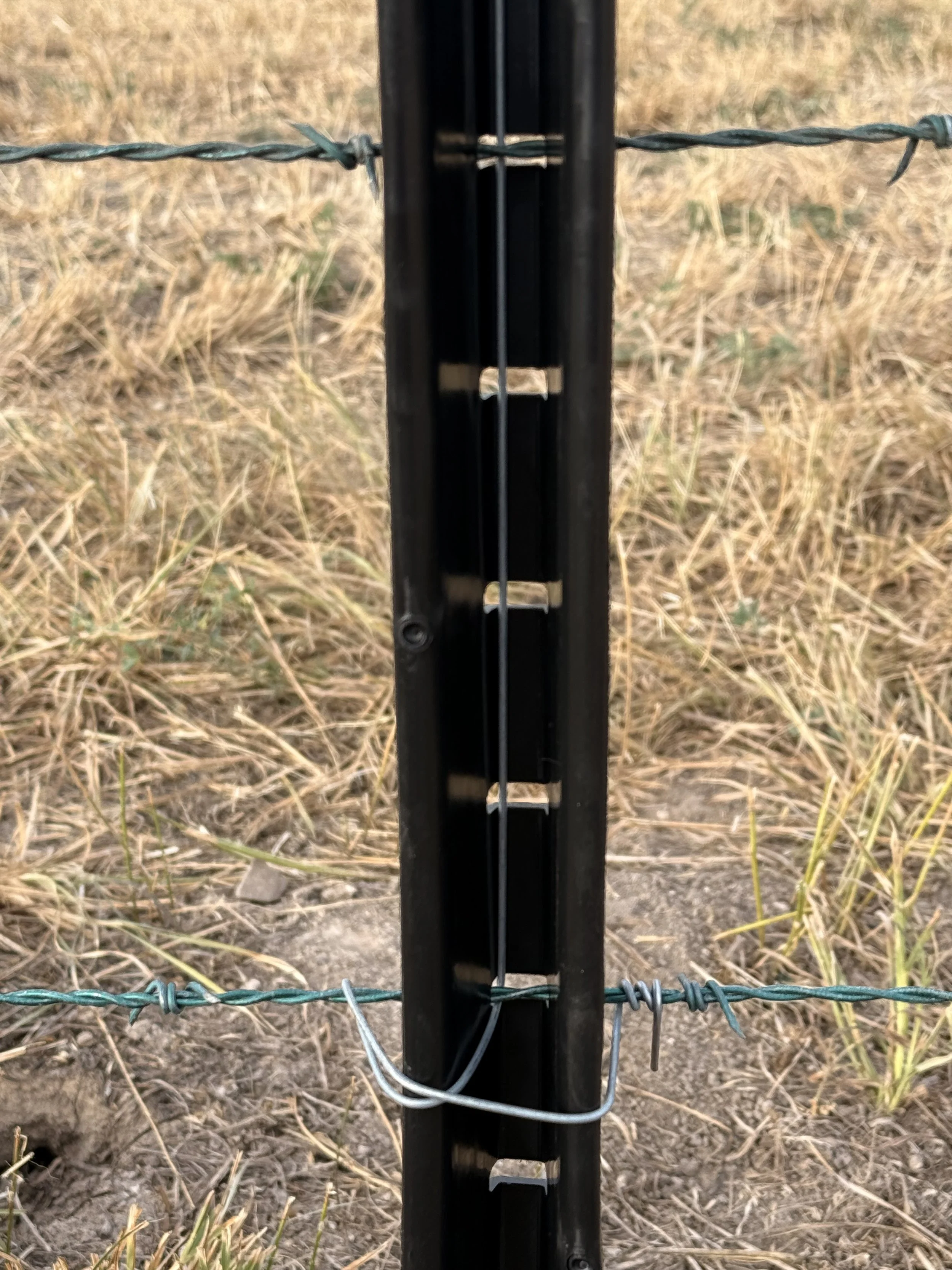 Plastic stay on high tensile barb wire