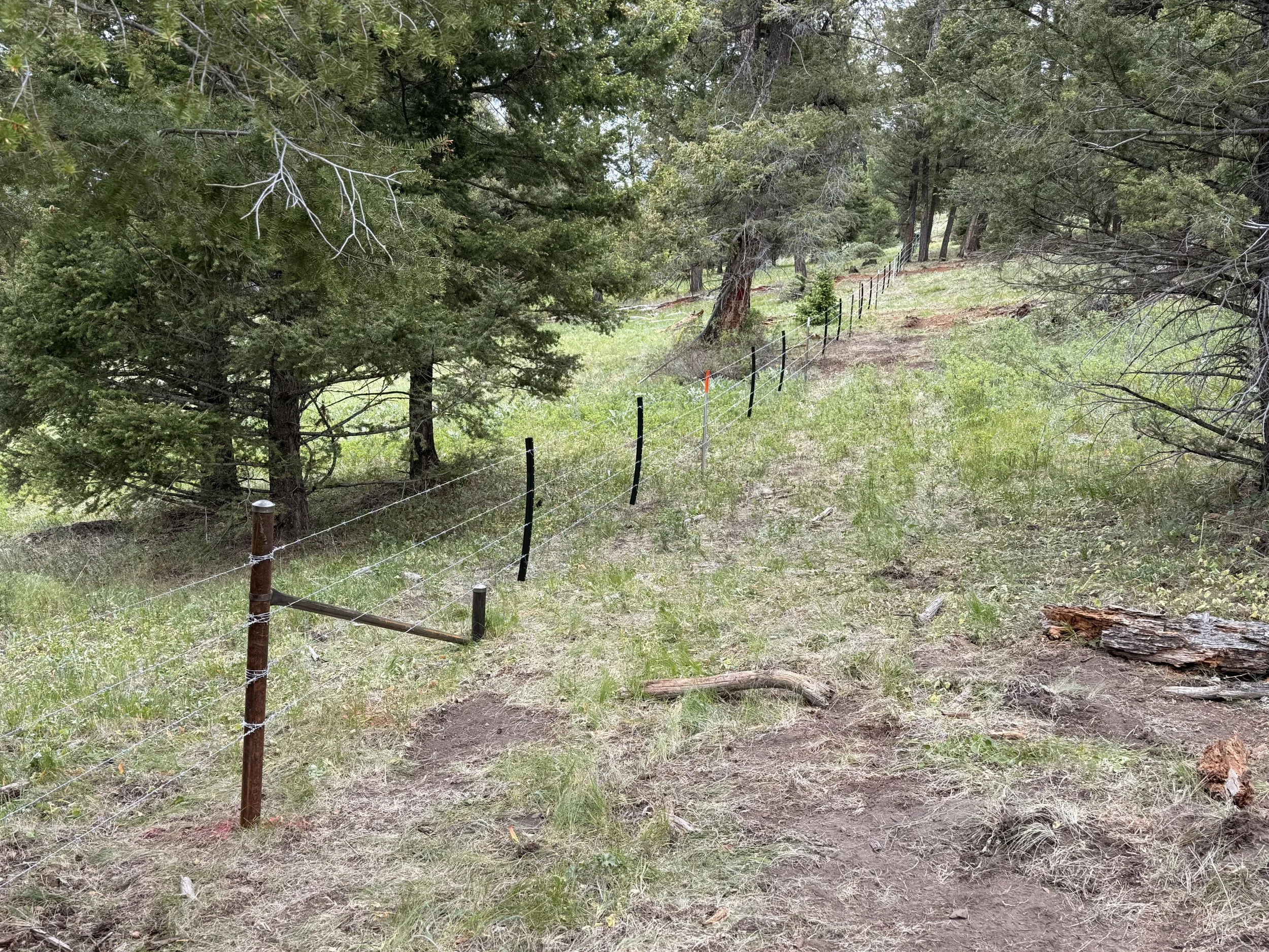 Beautiful wire fence near me