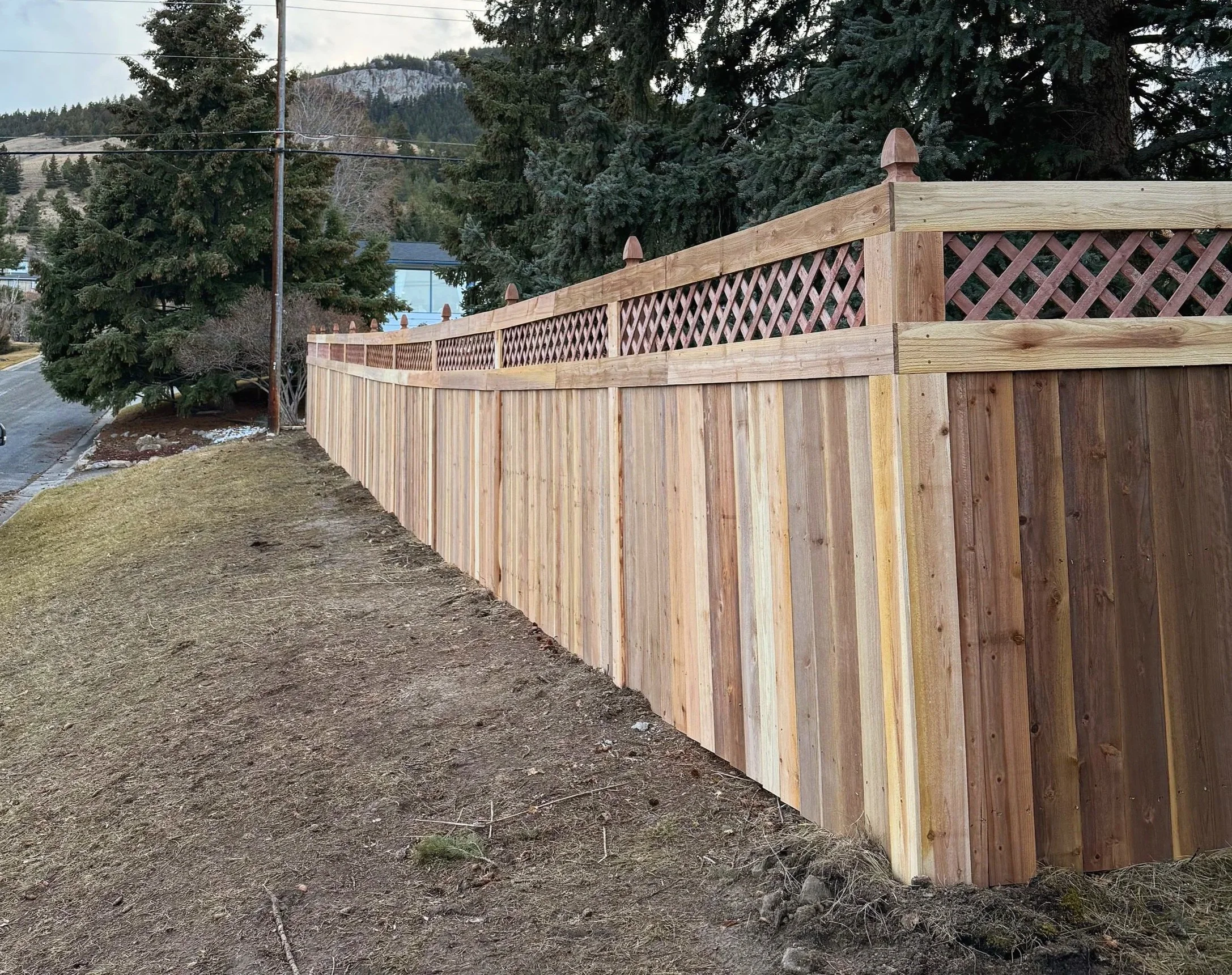 Cedar privacy fence with lattice ideas