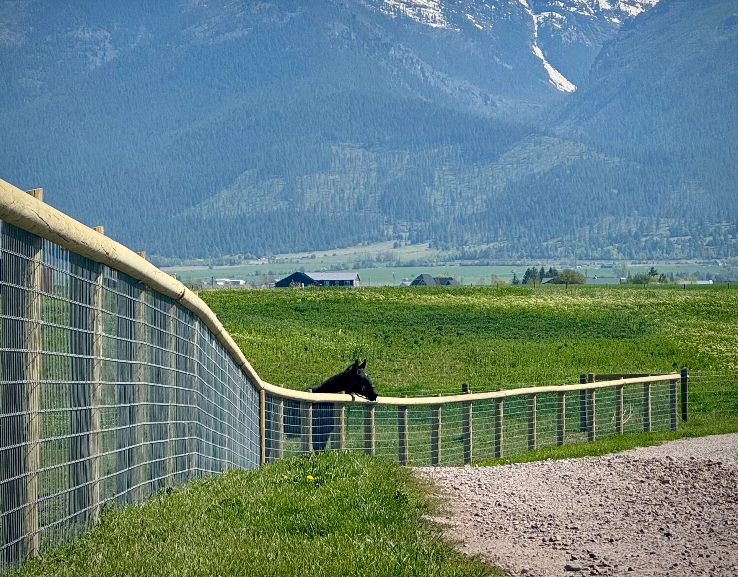 Woven Wire Fence Ideas