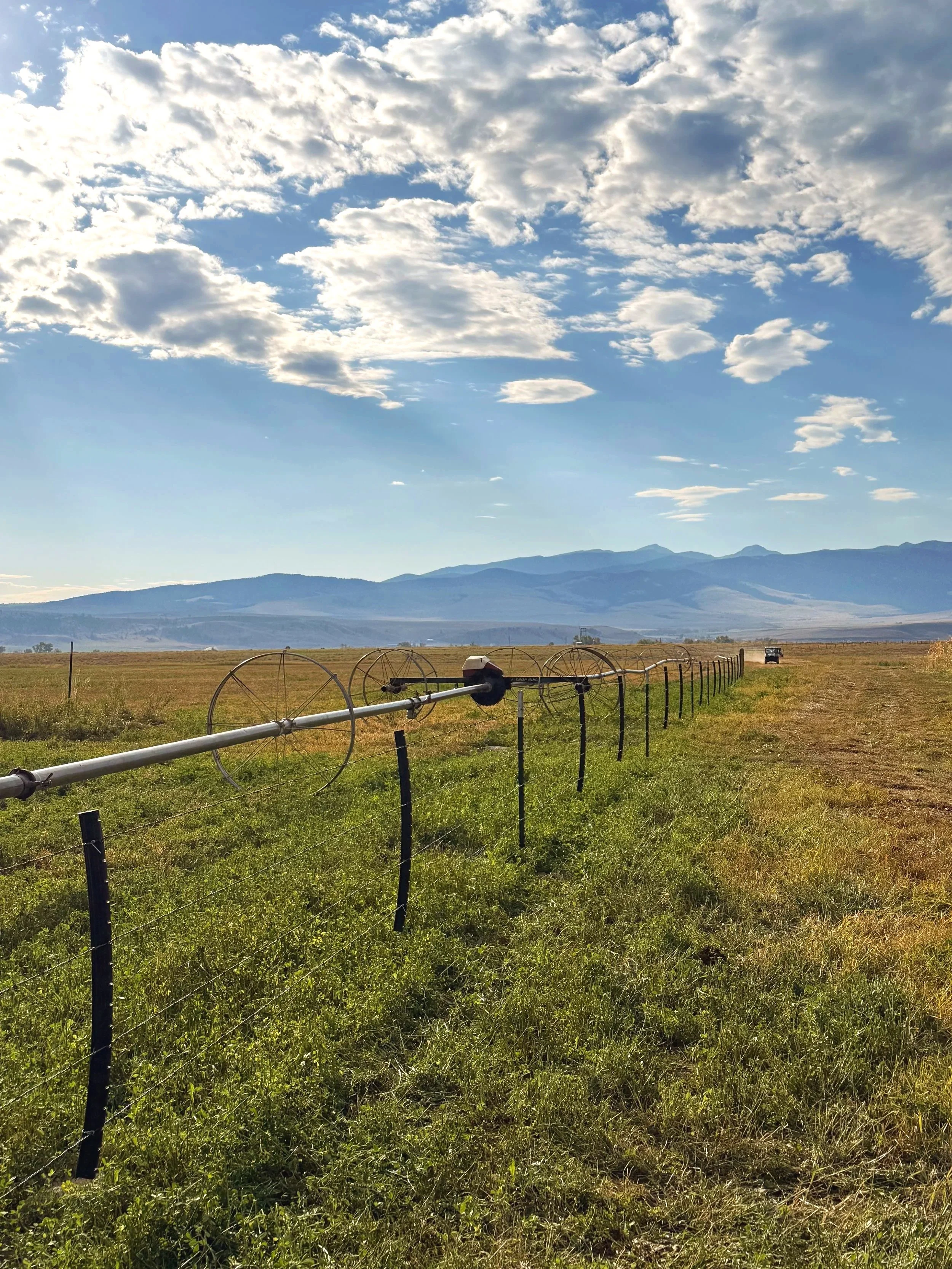 Wildlife Friendly Fence