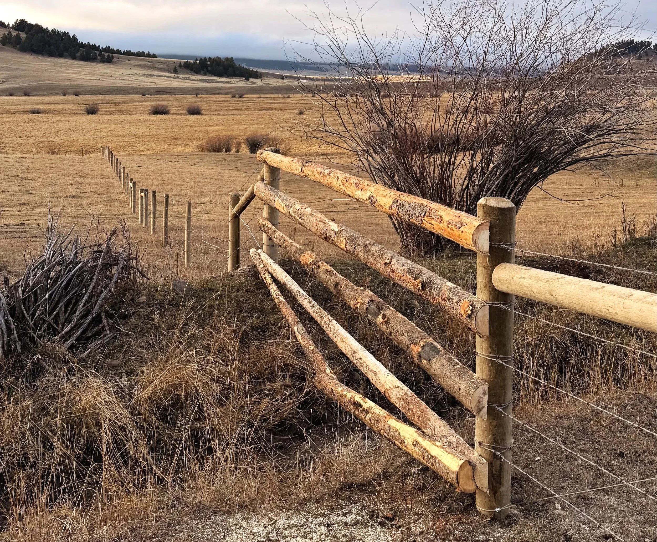 Fence Creek Crossing Ideas
