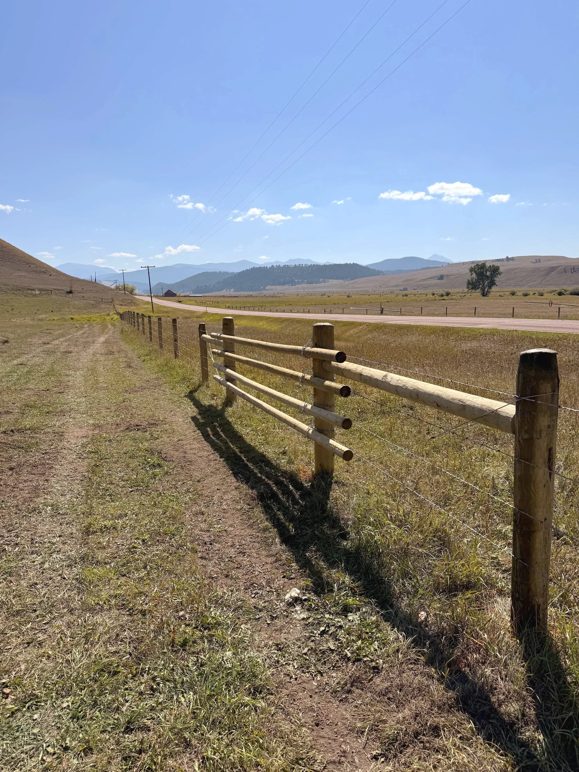 Wildlife Crossing Ideas