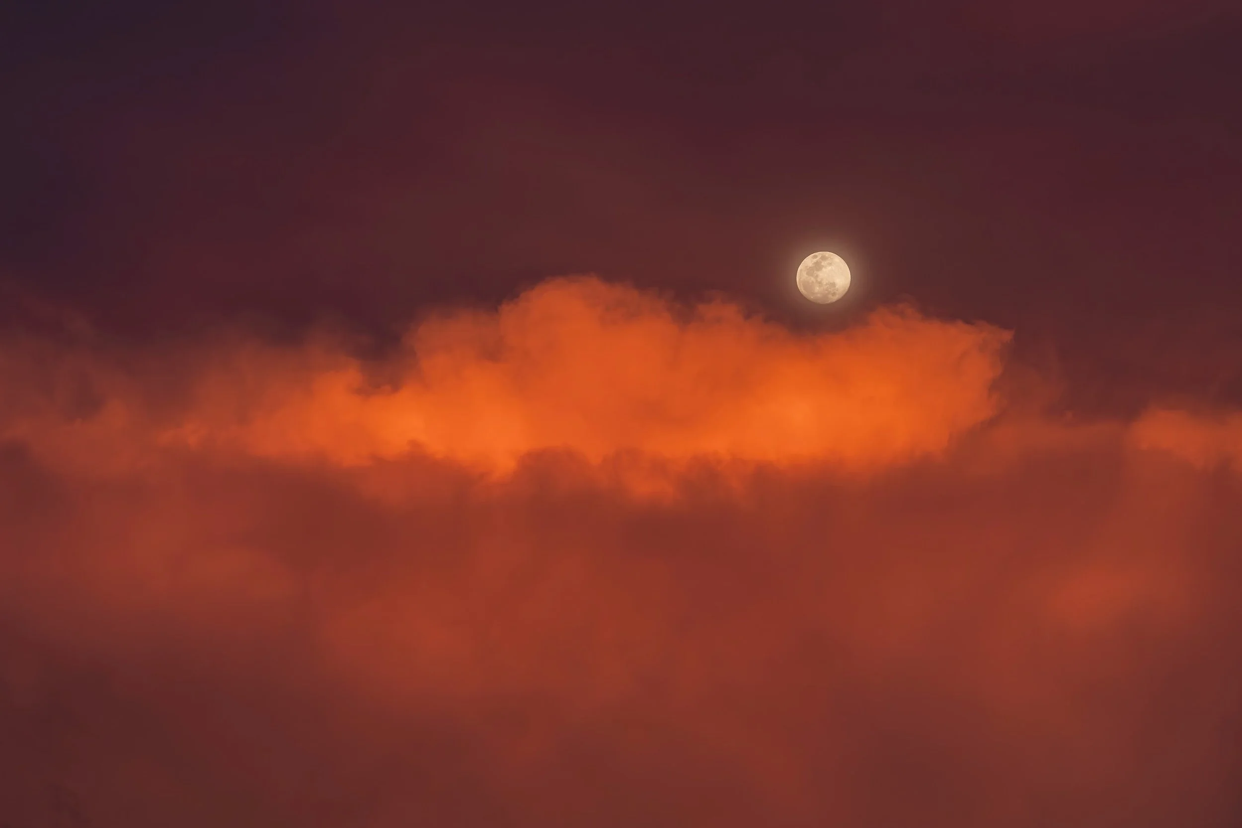 夕日と月
