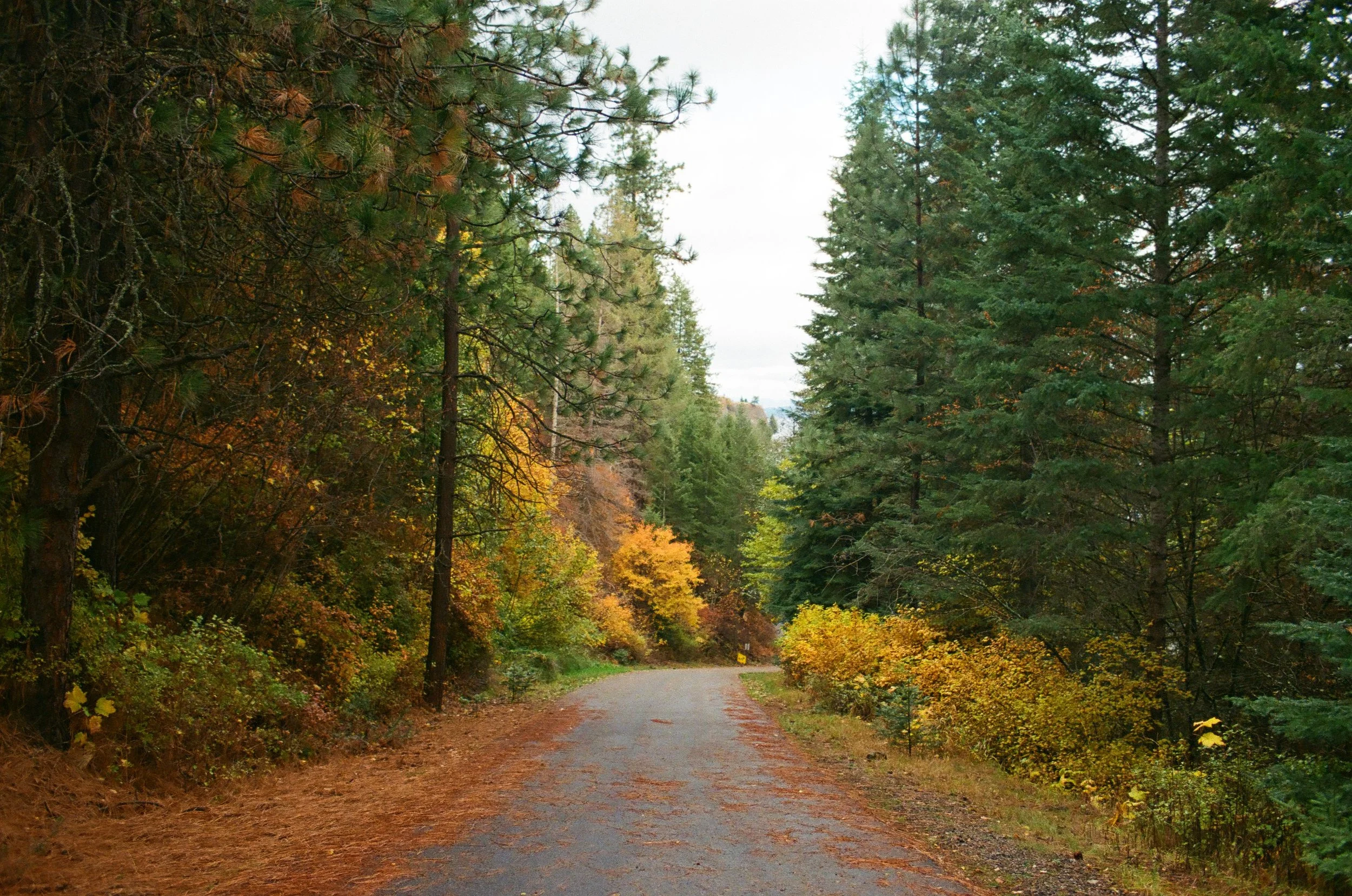 Obsessive Thoughts After Betrayal: Why It Happens + Help in Austin, TX