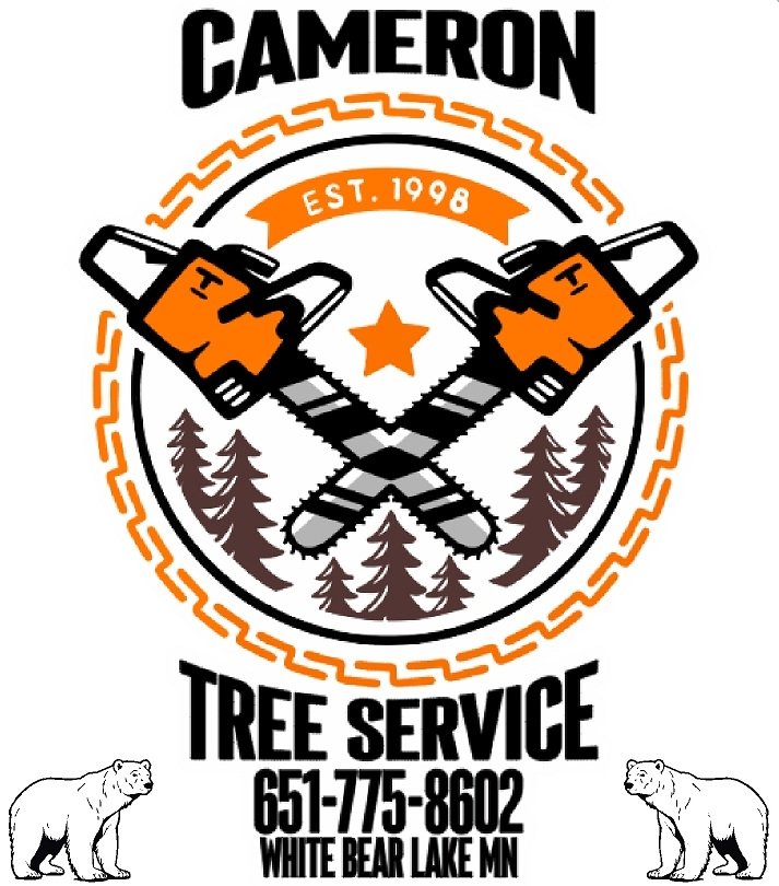 logo with bears.jpg