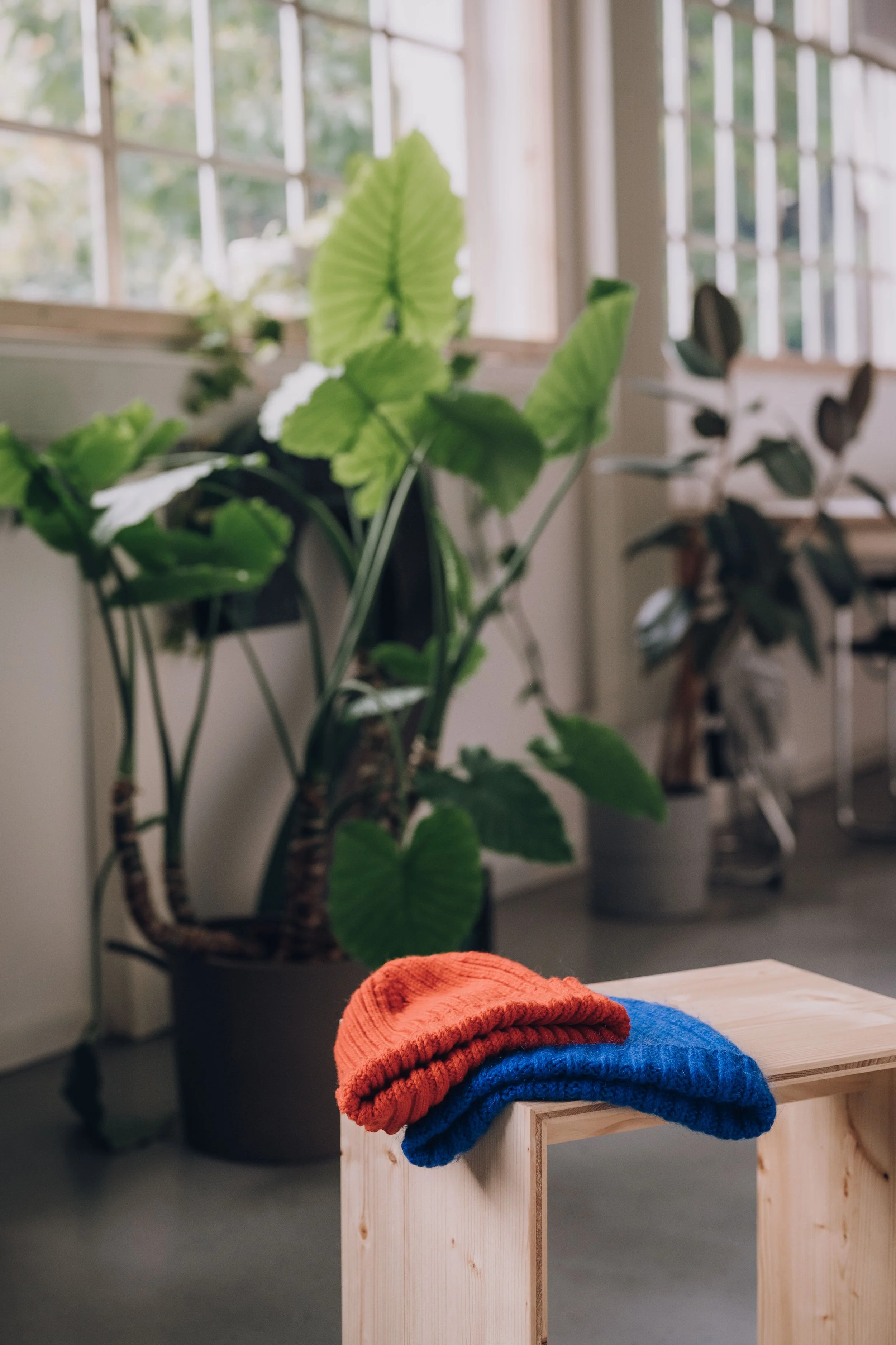 Hipster Huen Meike Reiners-5.jpg