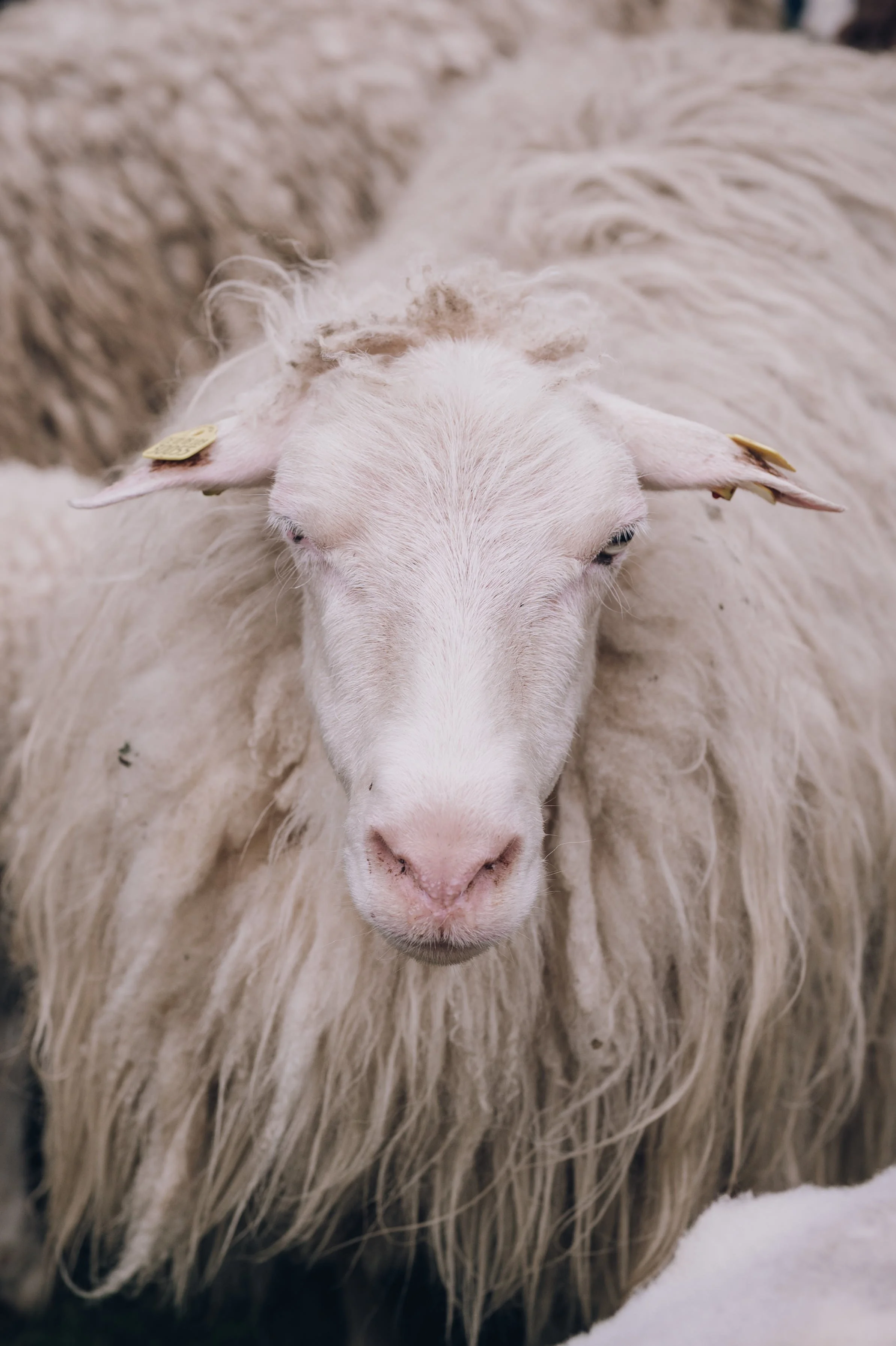 Stitch Connection Meike Reiners-27.jpg