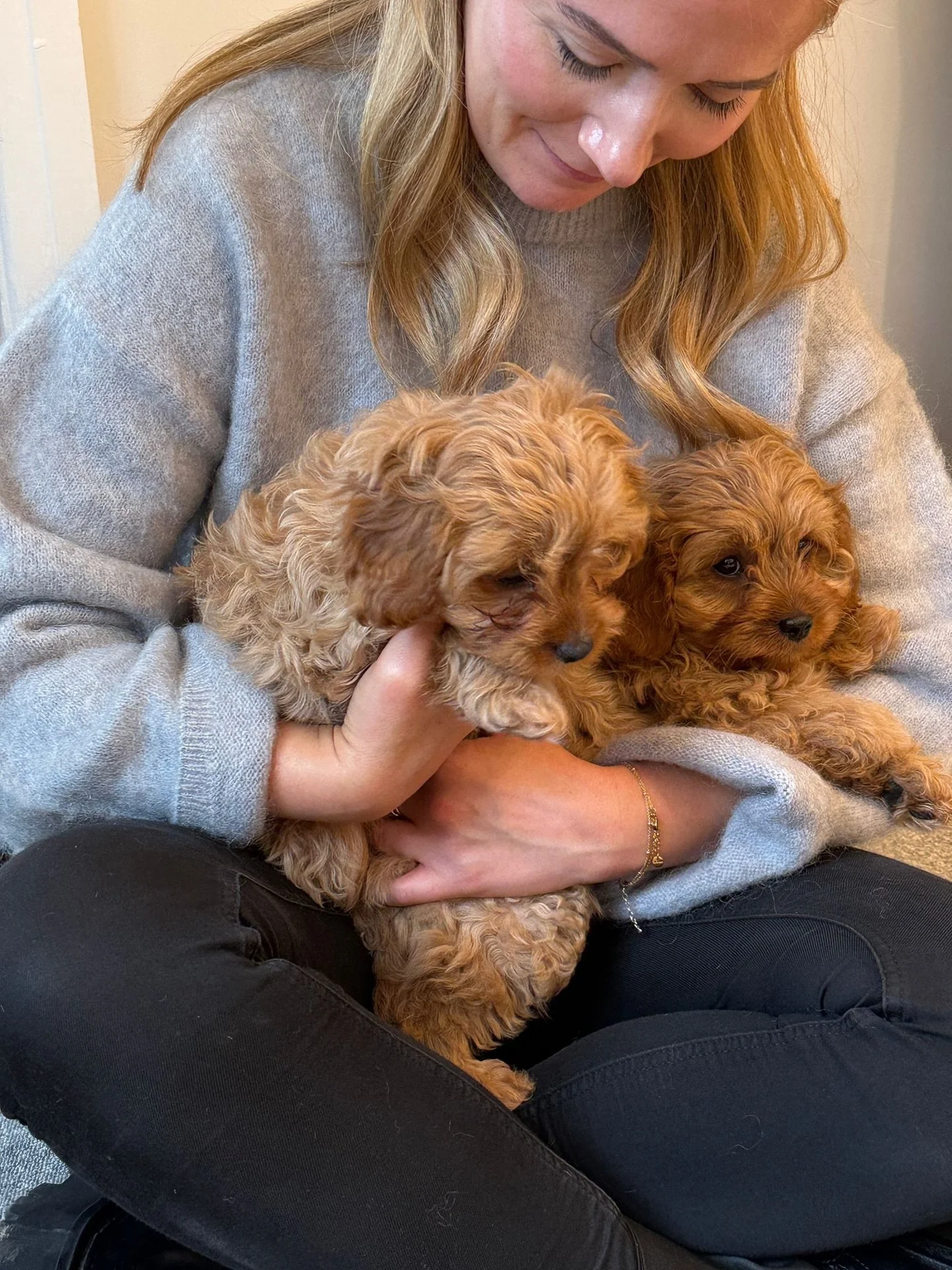 We&rsquo;d like to introduce the two new members of our Panoramic Team - Athena &amp; Nala 🤍

They&rsquo;re already hard at work putting together CAD packages and fabric schemes in between a lot of cuddles!