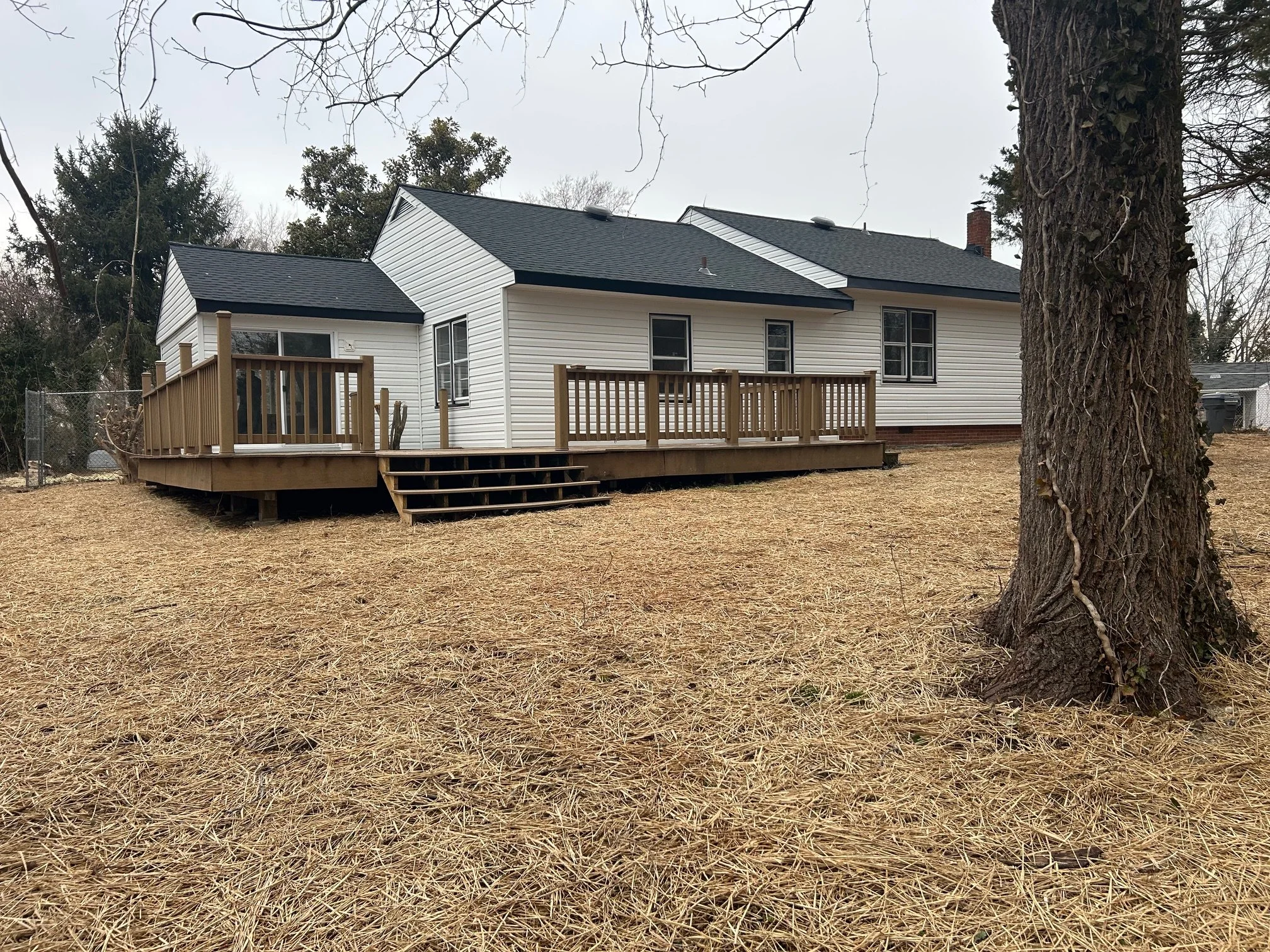 image3 (1).jpeg