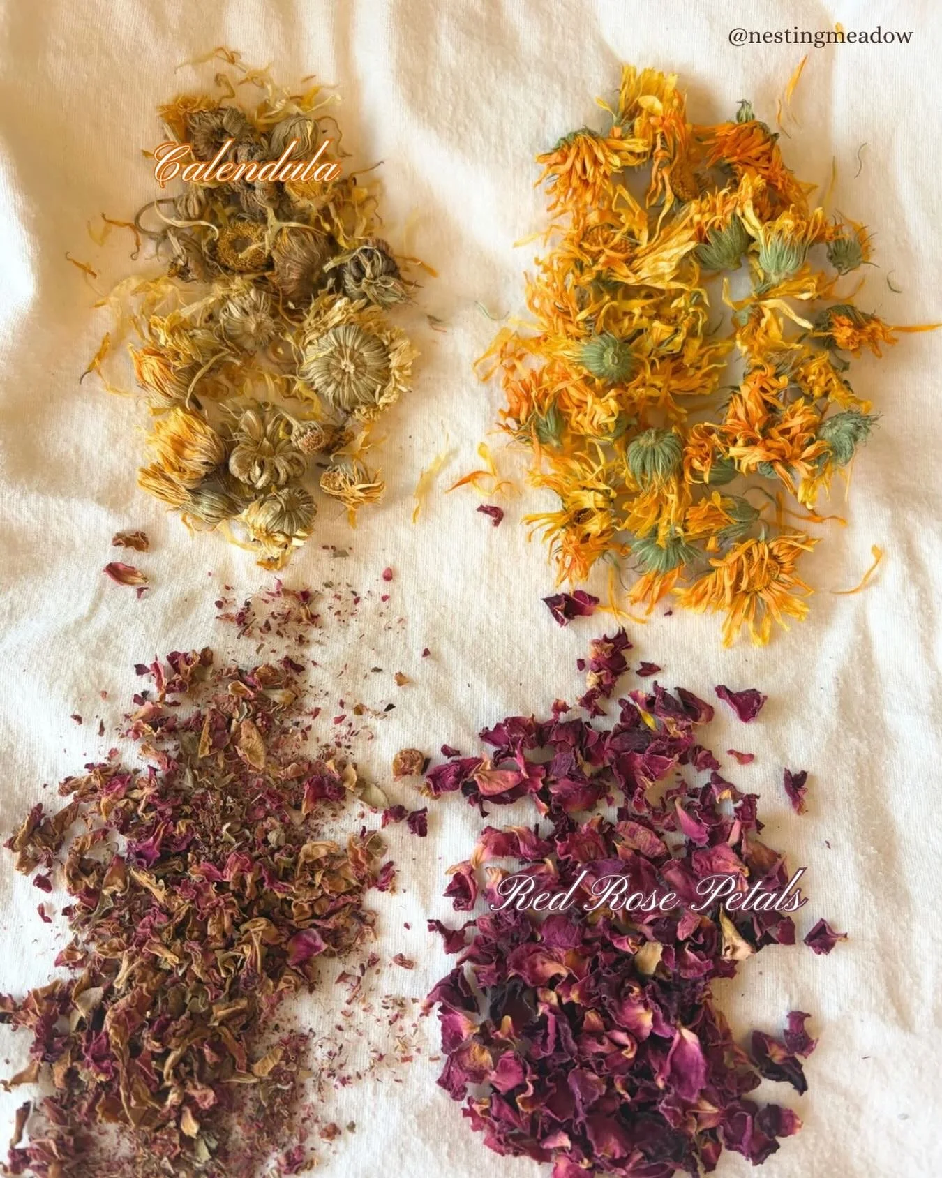 Quality matters 🌿

To the left you&rsquo;ll see old, dull herbs and to the right you&rsquo;ll see gorgeous, bright, freshly dried herbs. The freshness and quality make SUCH a difference in the medicinal strength of an herb. At The Nesting Meadow, I 