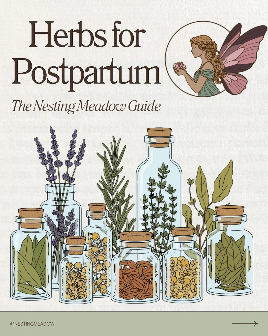 Check out my full blog post on my website featuring more herbs and supplements for a holistic postpartum 🌿

Comment LINK to shop our postpartum wellness collection ✨

#holisticpregnancy #herbsforpregnancy #holisticdoula #herbalist #thenestingmeadow