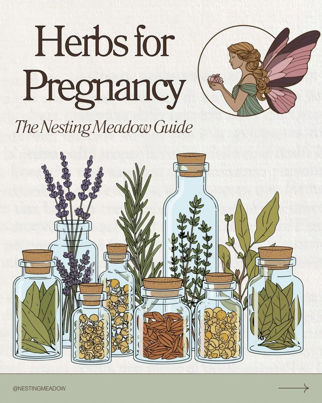 Check out my full blog post on my website featuring more herbs and supplements for a holistic pregnancy 🌿

Comment LINK to shop our pregnancy wellness collection ✨

#holisticpregnancy #herbsforpregnancy #holisticdoula #herbalist #thenestingmeadow