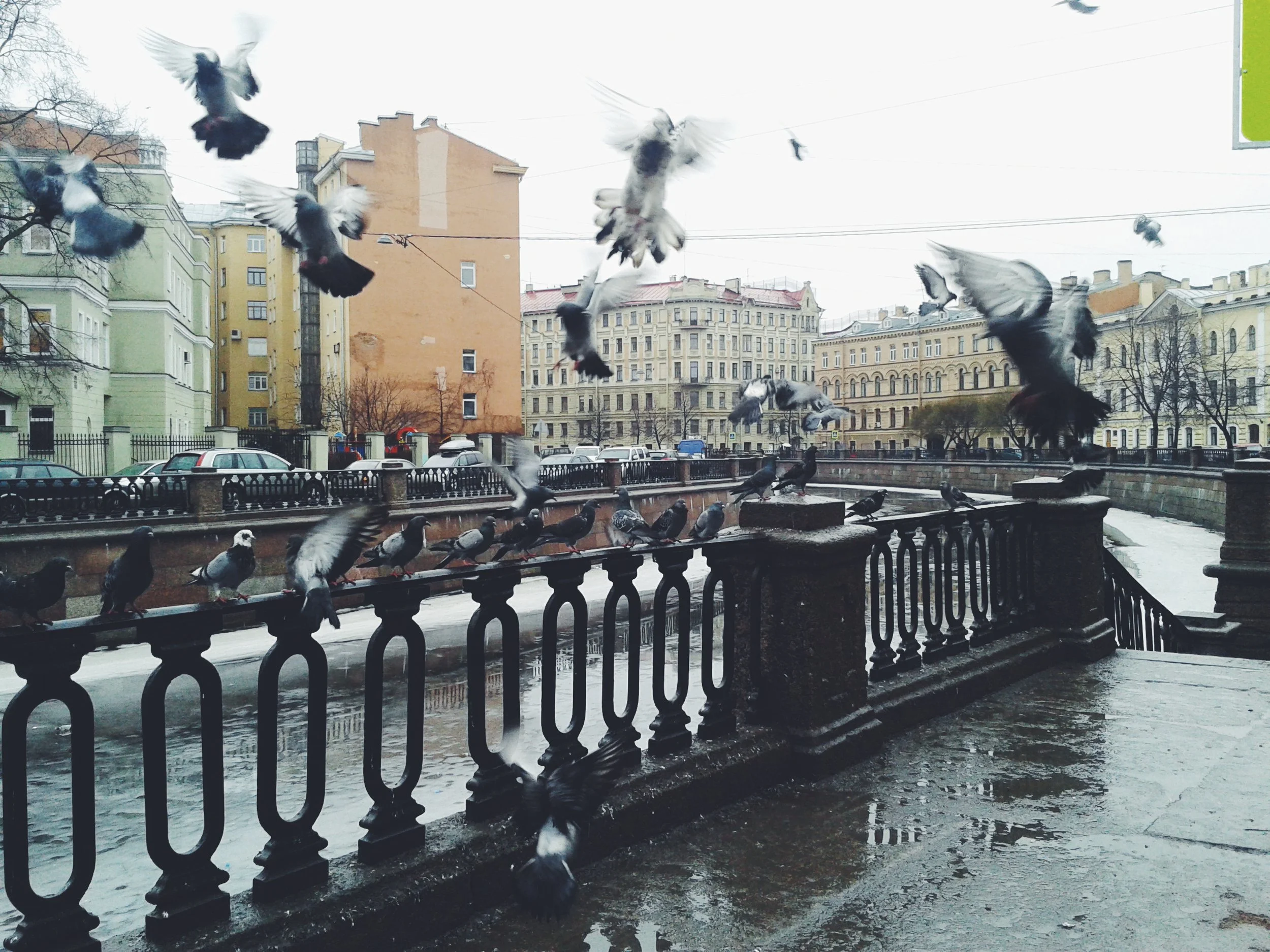 Saint Petersburg