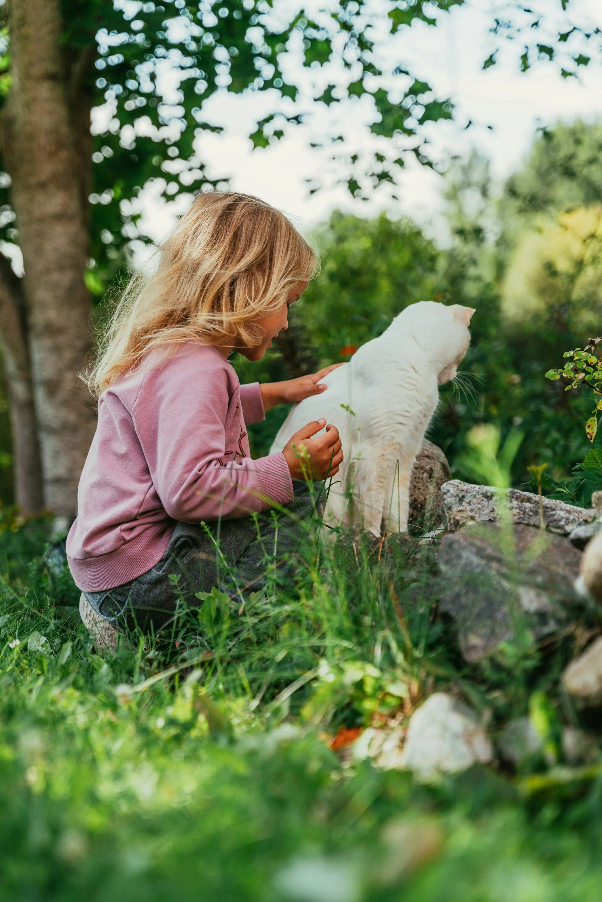 Können Kinder mit Tieren kommunizieren? Ein Blick auf Intuition und Verbindung.
