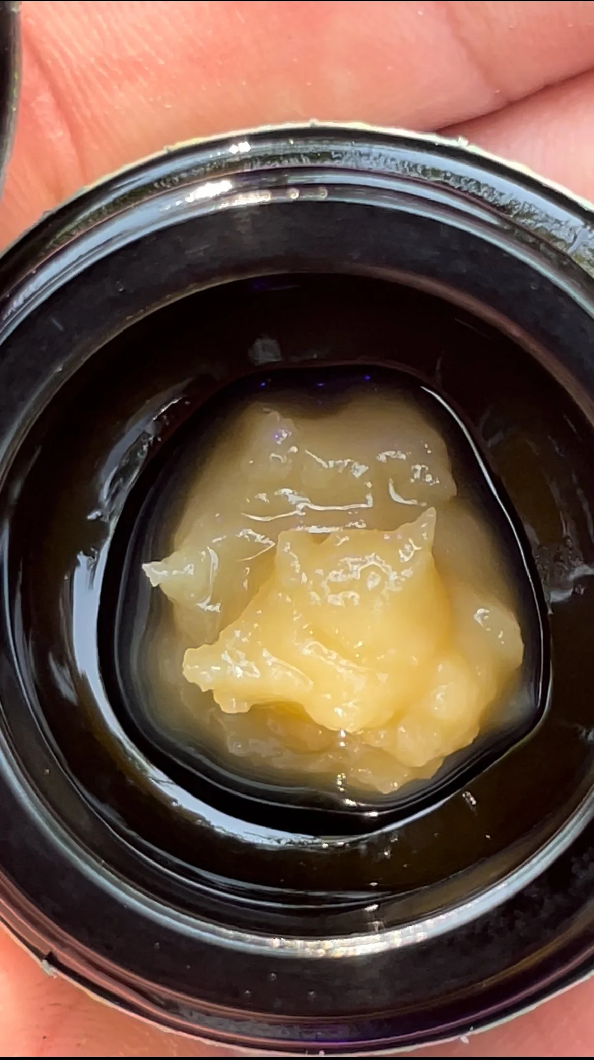 Gyozaa Rosin