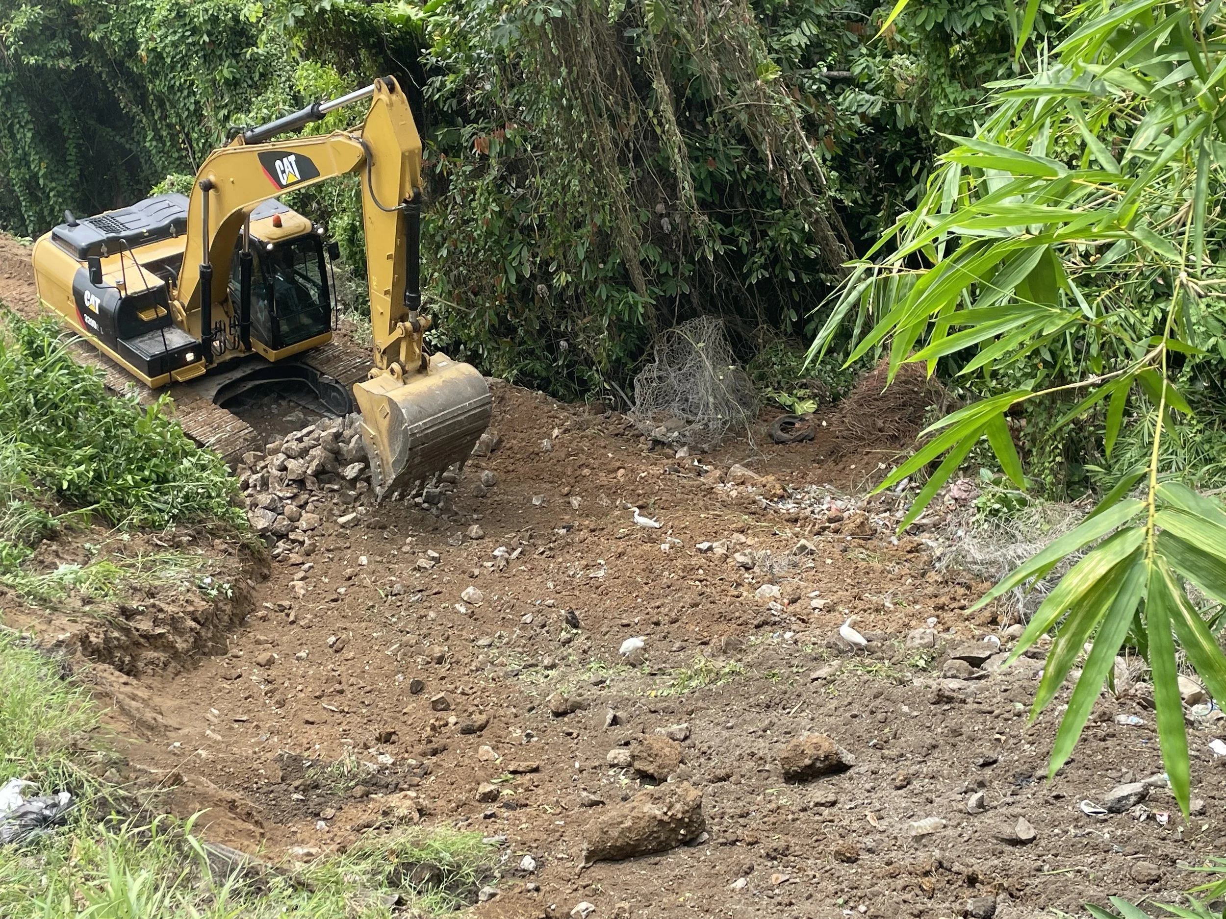 A yellow CAT excavator working on a dirt path surrounded by green foliage and bamboo, clearing the ground with rocks and debris visible.